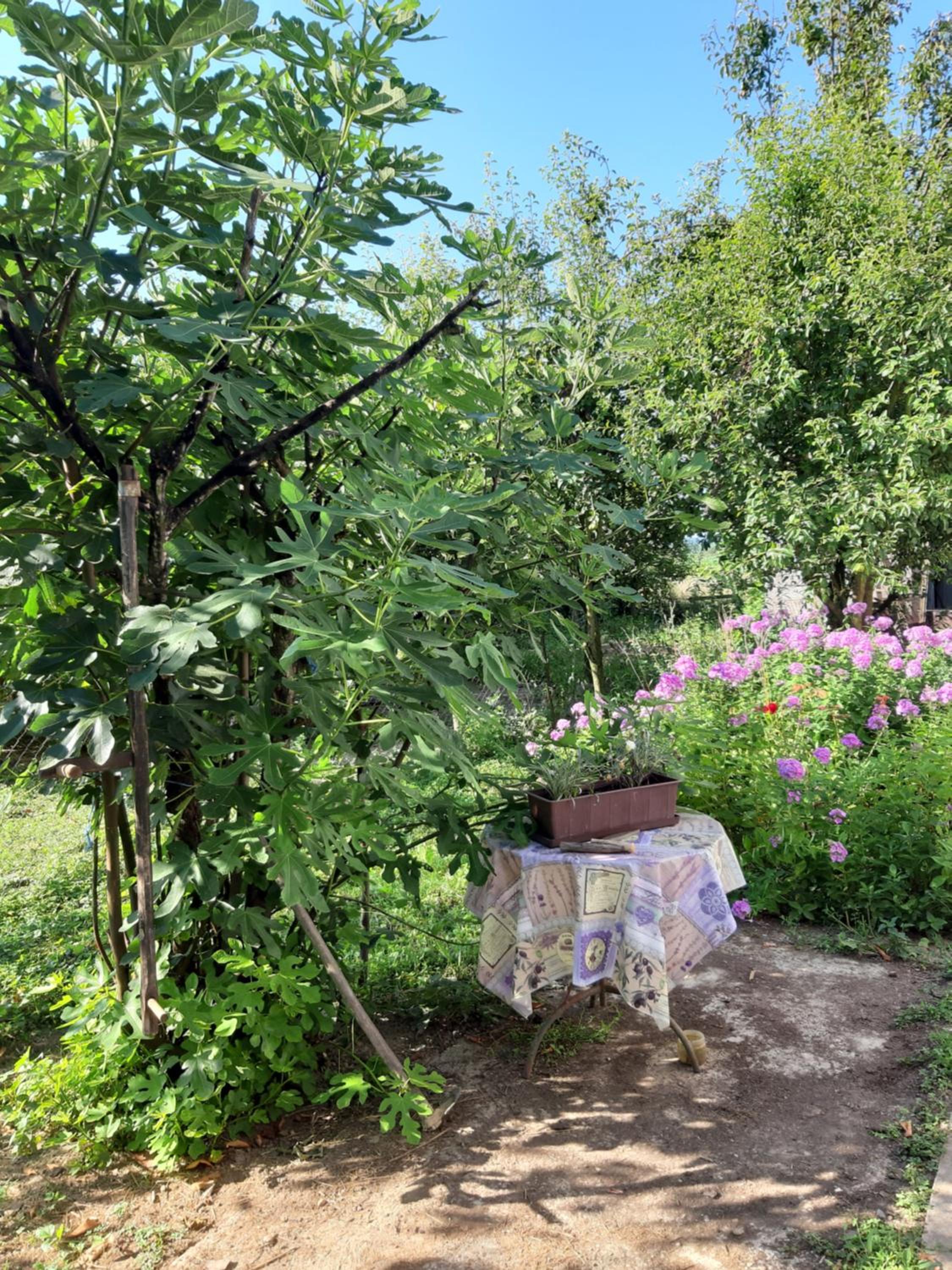 Apartment NATUR