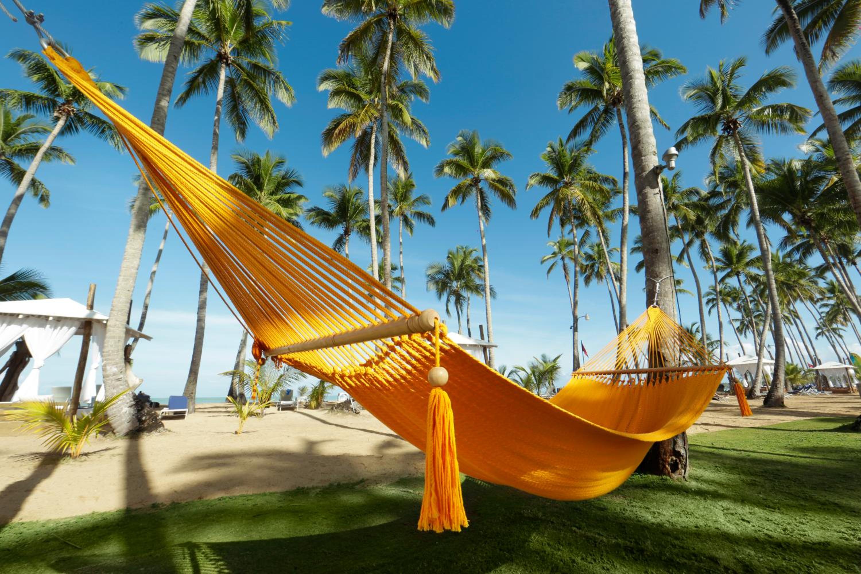 Viva V Samana by Wyndham, A Trademark Adults All Inclusive - Photo 82