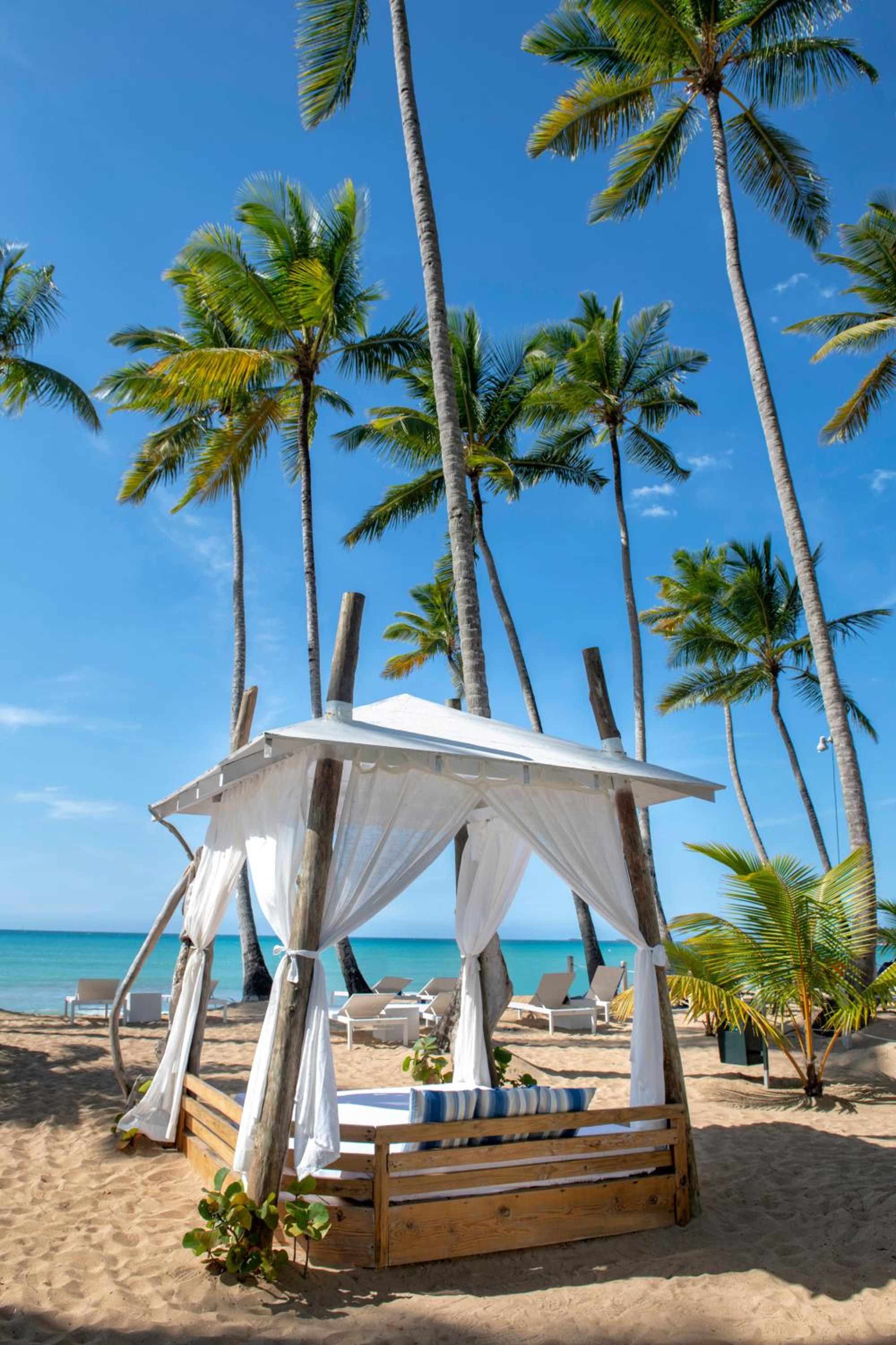 Viva V Samana by Wyndham, A Trademark Adults All Inclusive