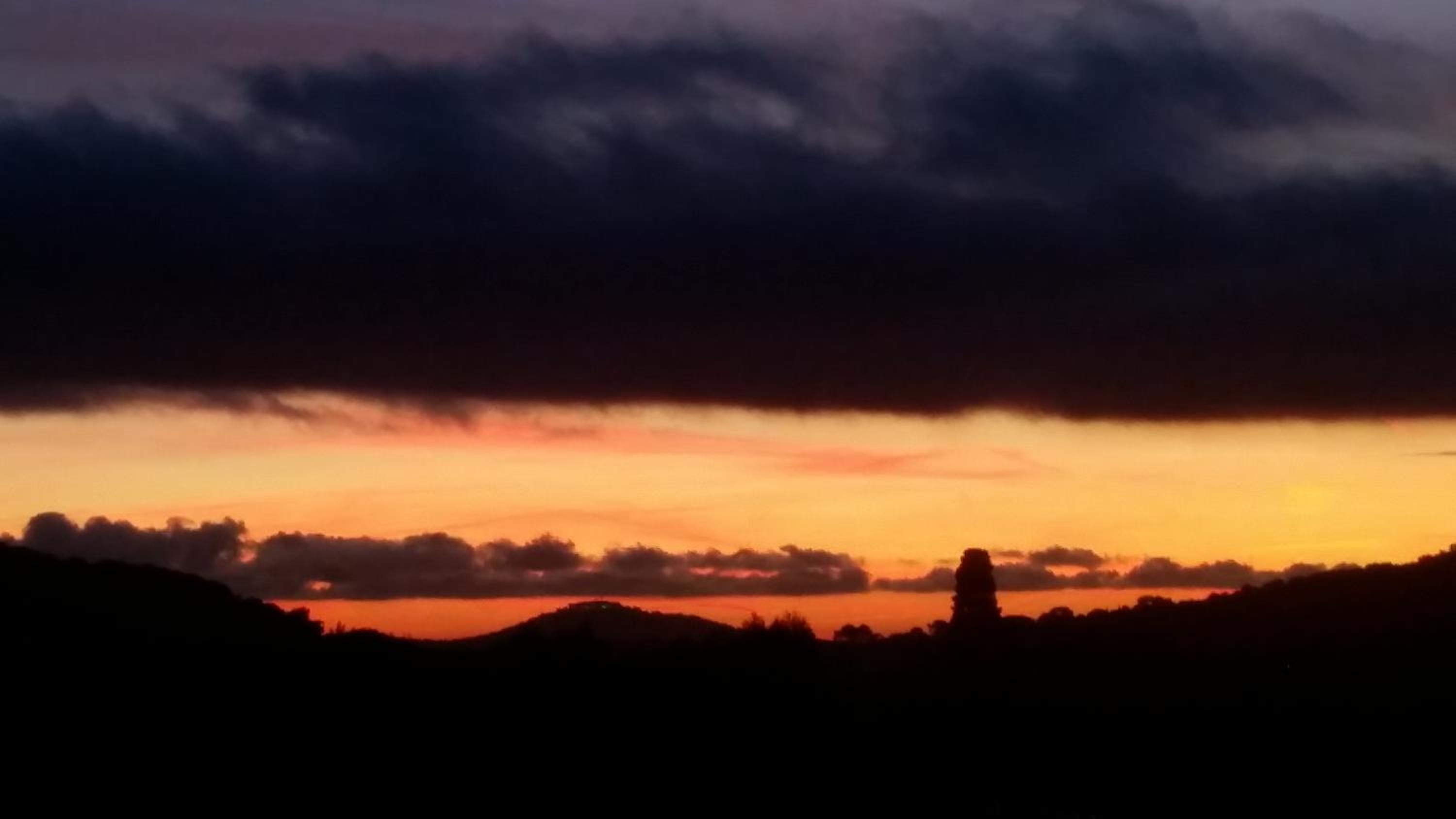 BIENVENUE, photo 4
