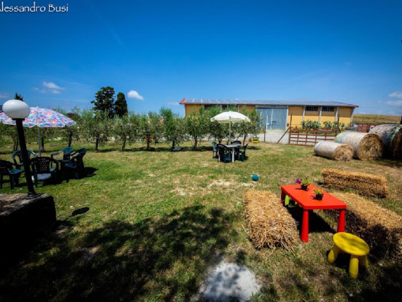 Agriturismo La Valle della Lavanda - Podere Mezzastrada view 4