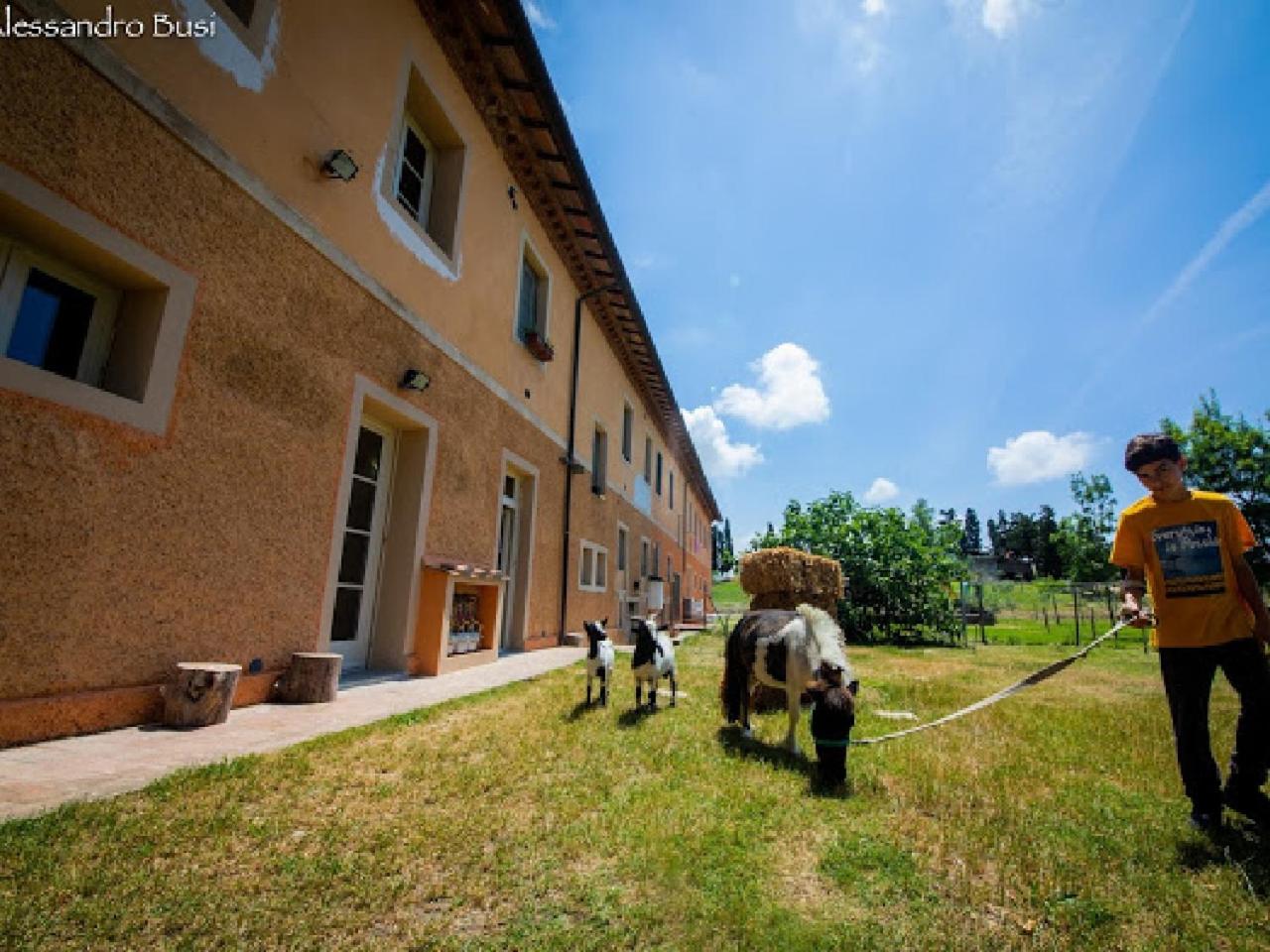 Agriturismo La Valle della Lavanda - Podere Mezzastrada view 3