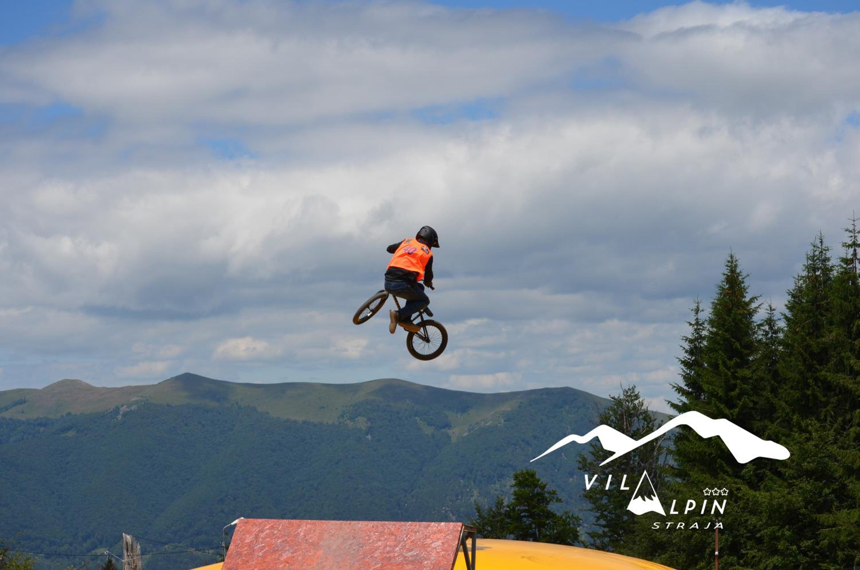 Vila Alpin