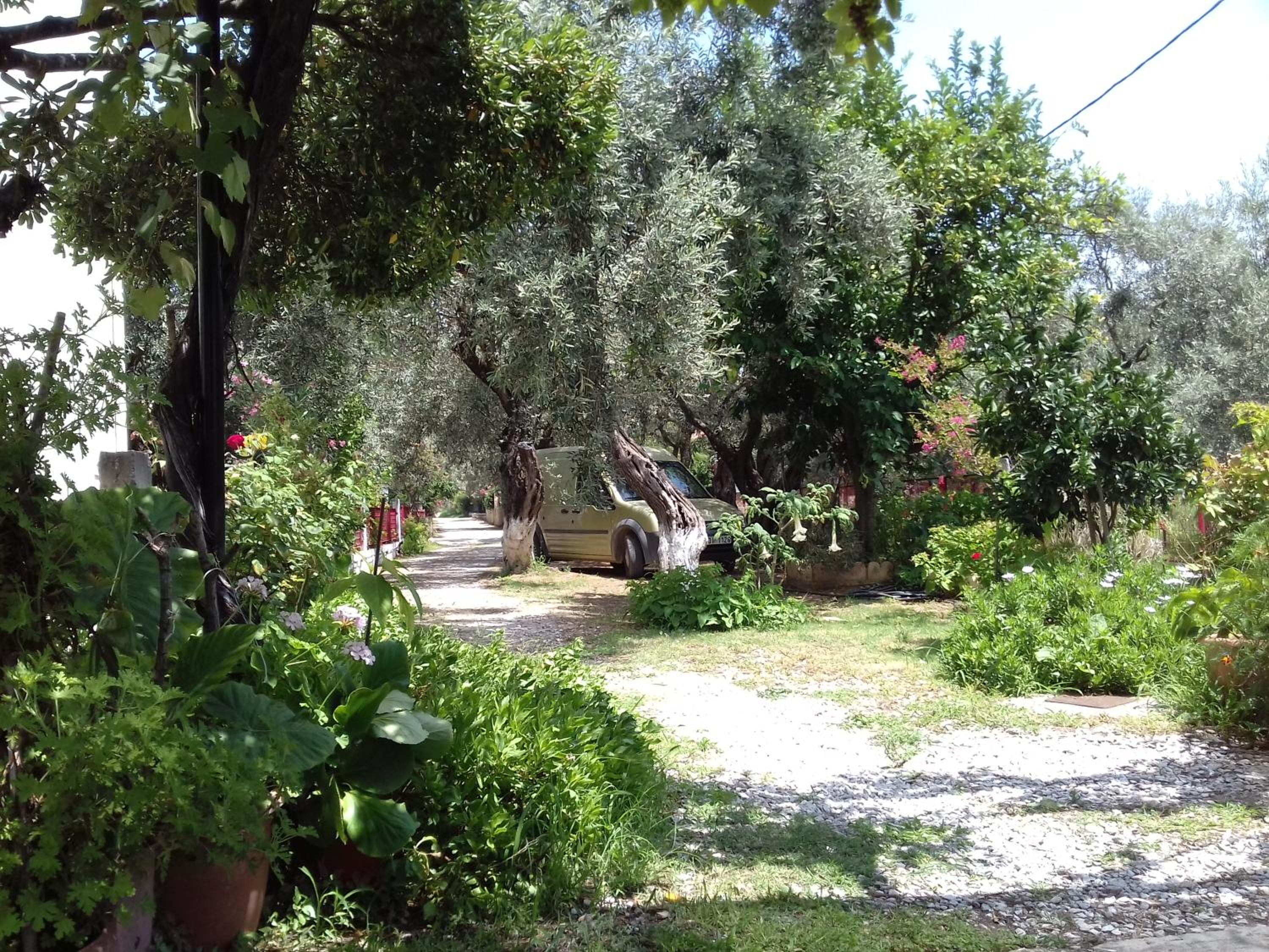 Photo 23