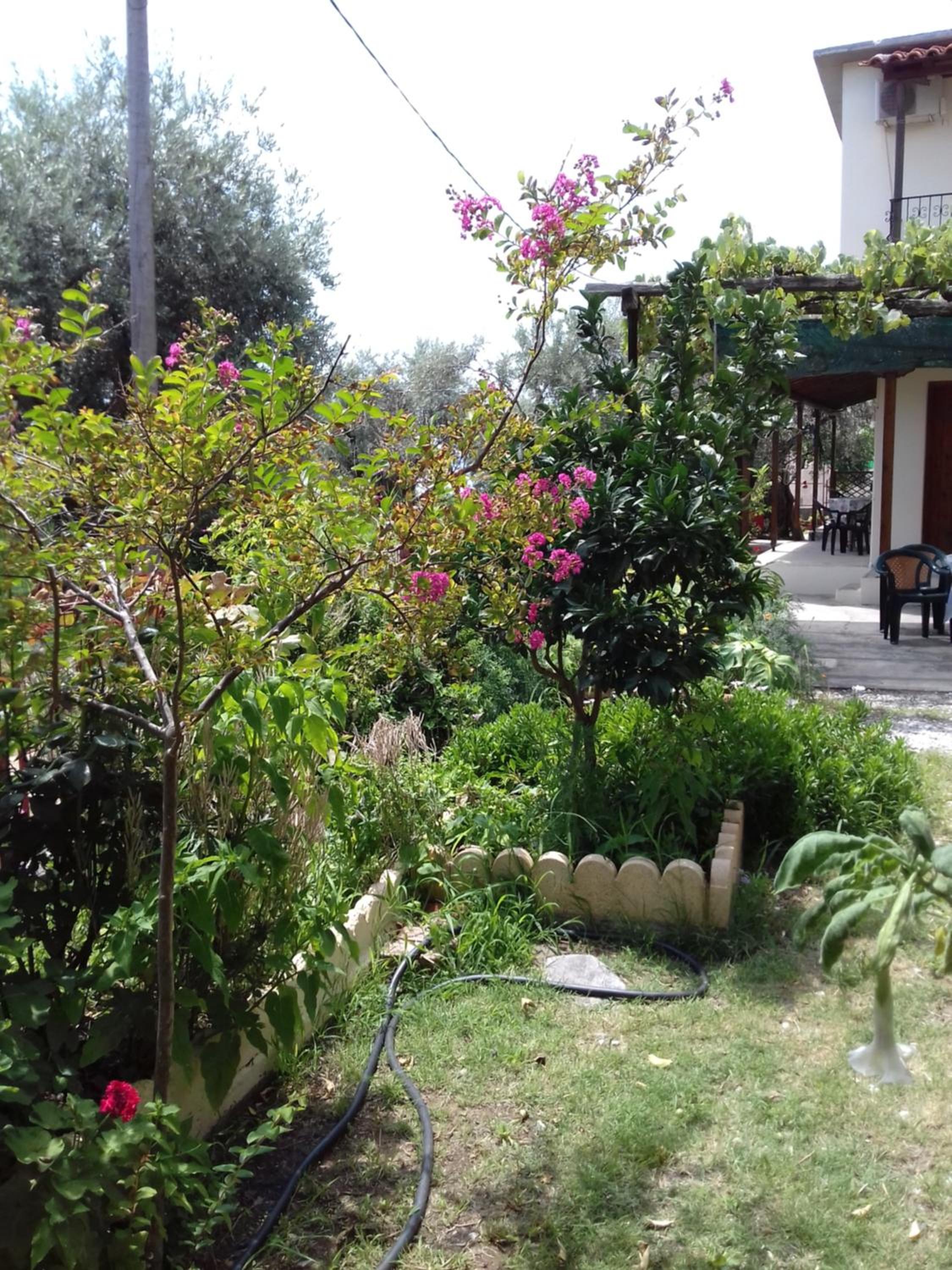 Photo 26