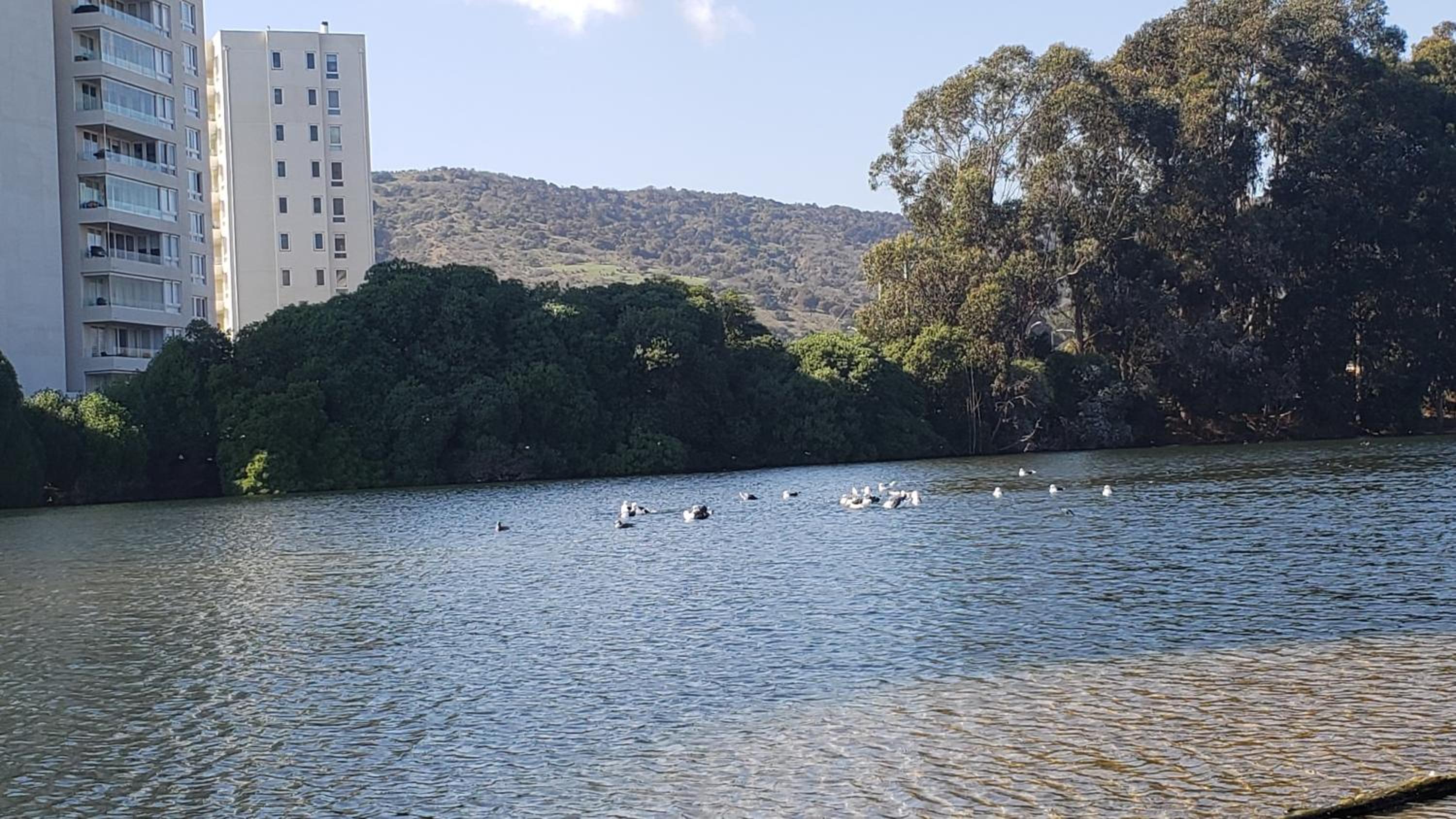 Departamento Papudo Laguna 120