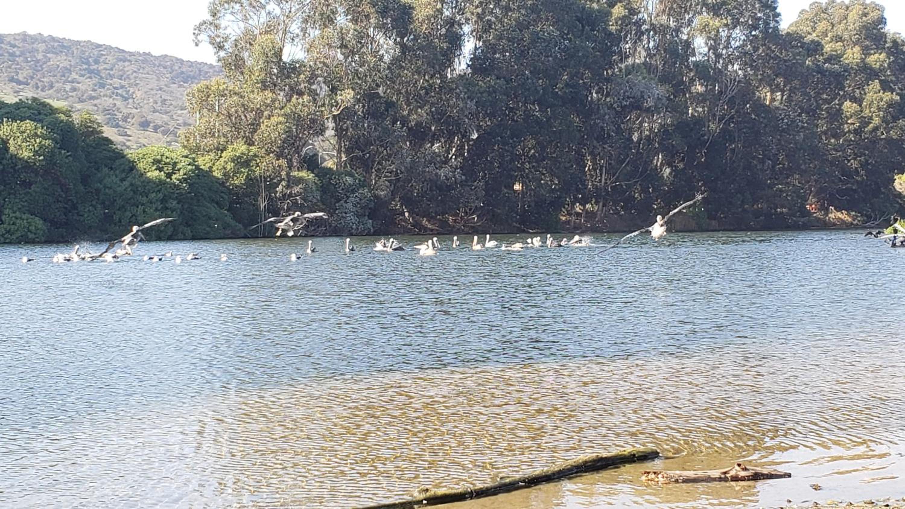 Departamento Papudo Laguna 120