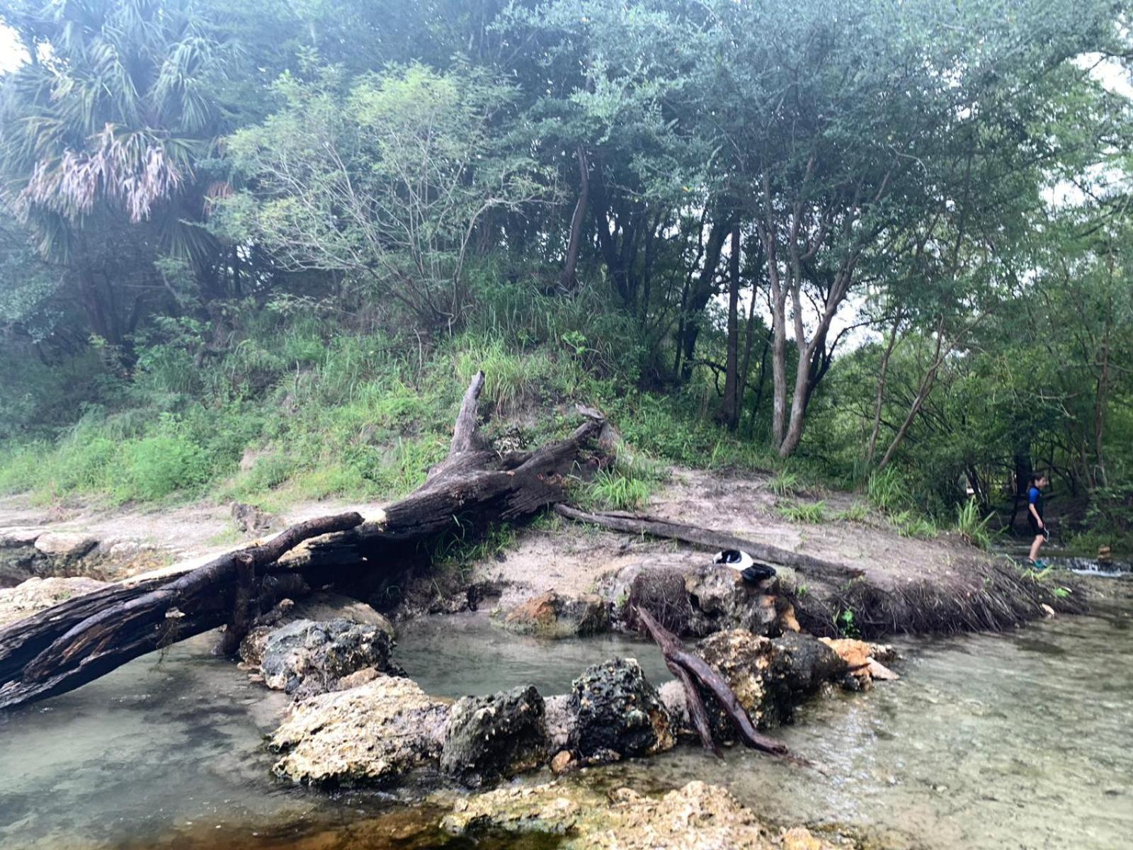 MARGARITAVILLE ON THE SUWANNEE RIVER view 5
