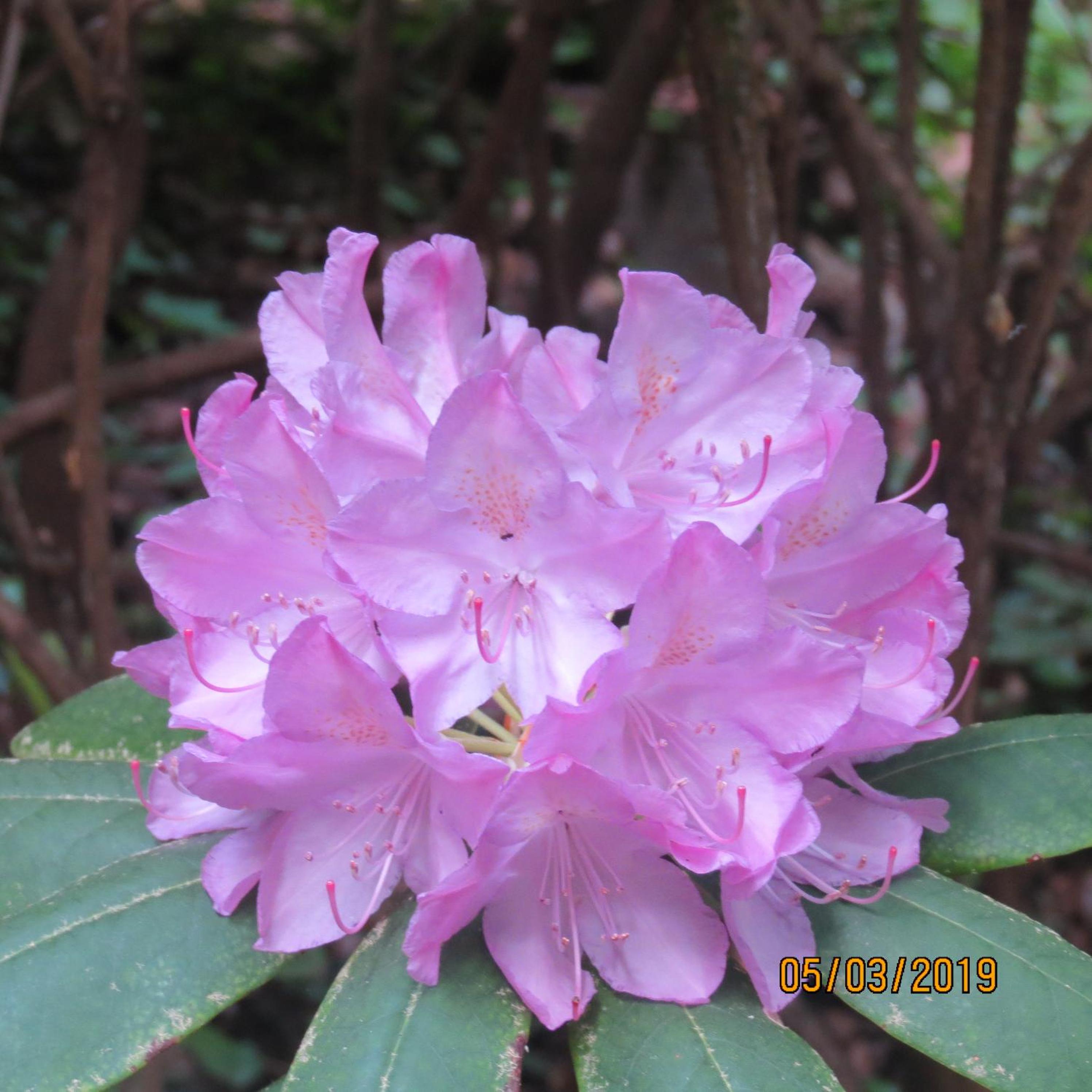 Photo 67