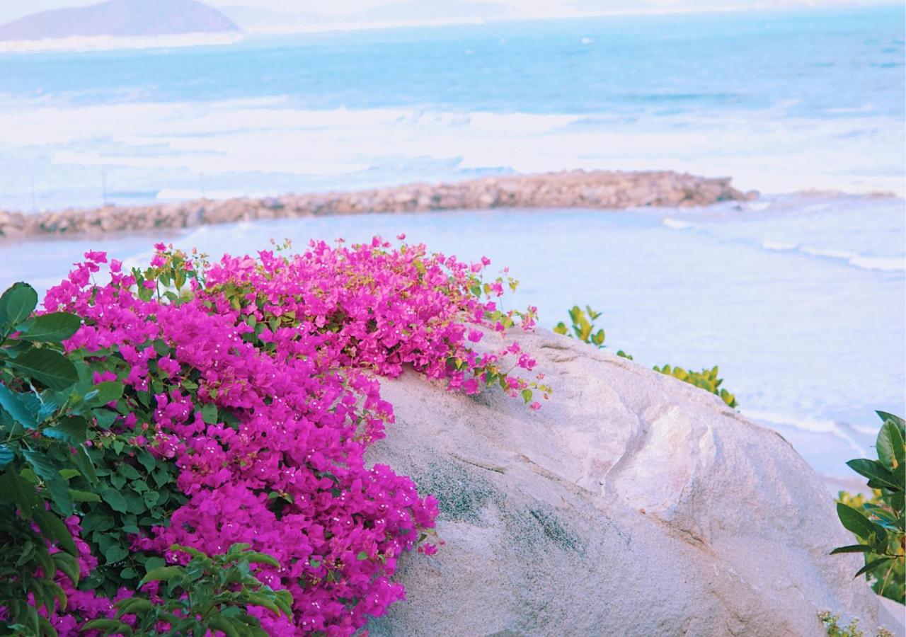 Wild Beach Boutique Resort view 5