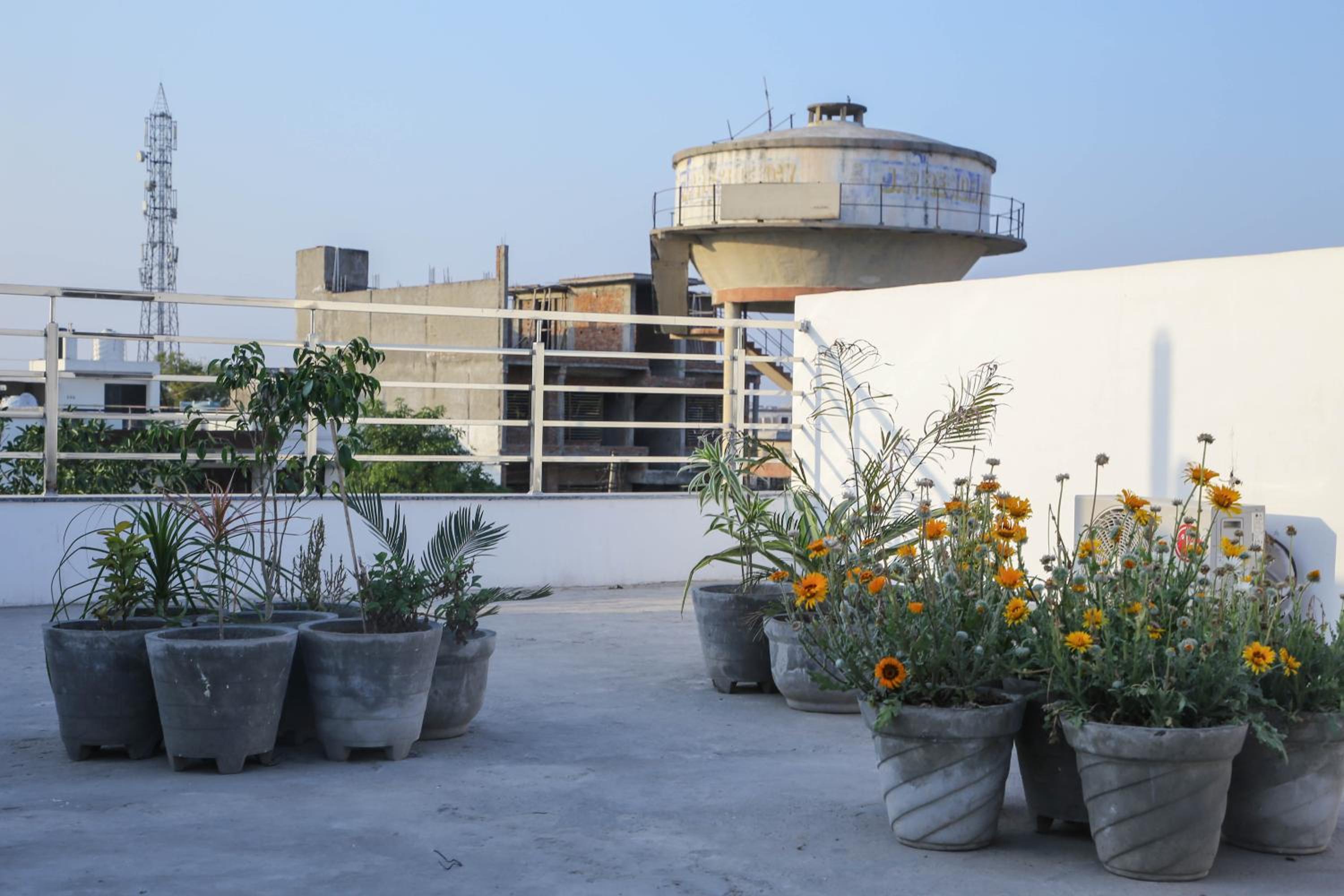 roof