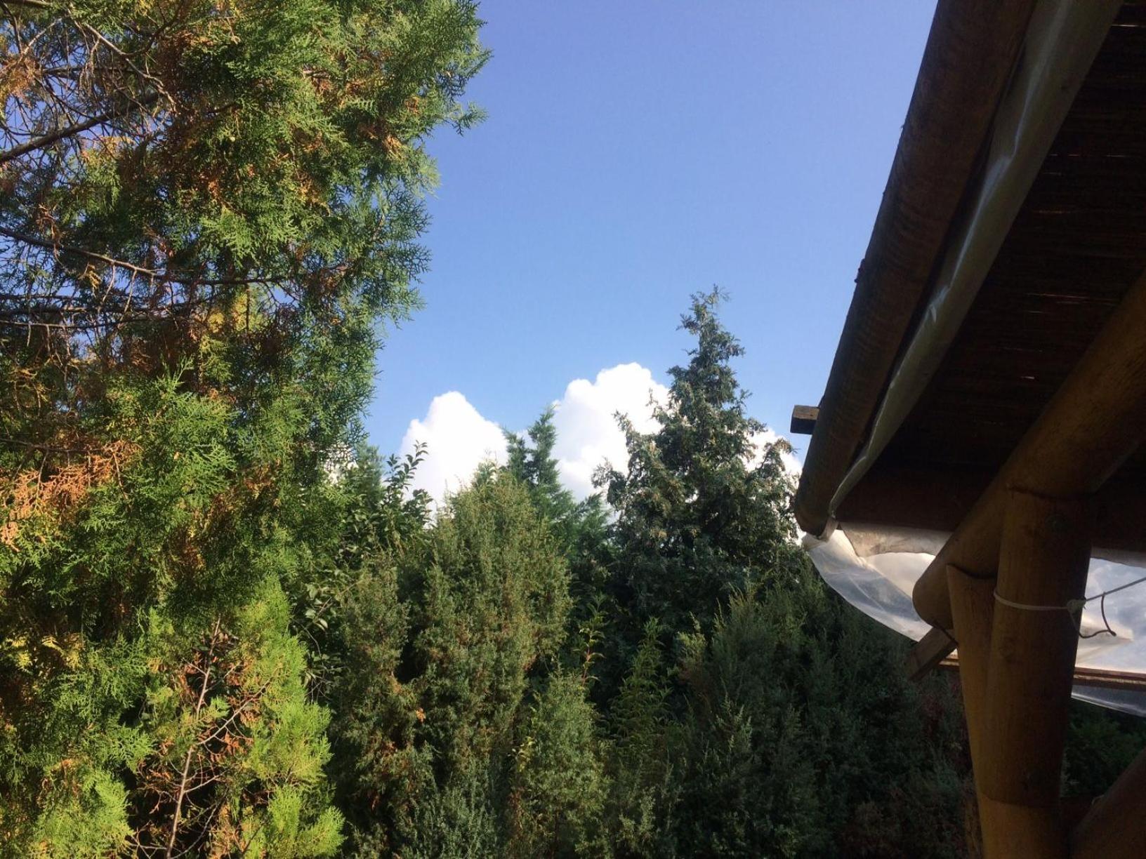 Casa Mamma view 2