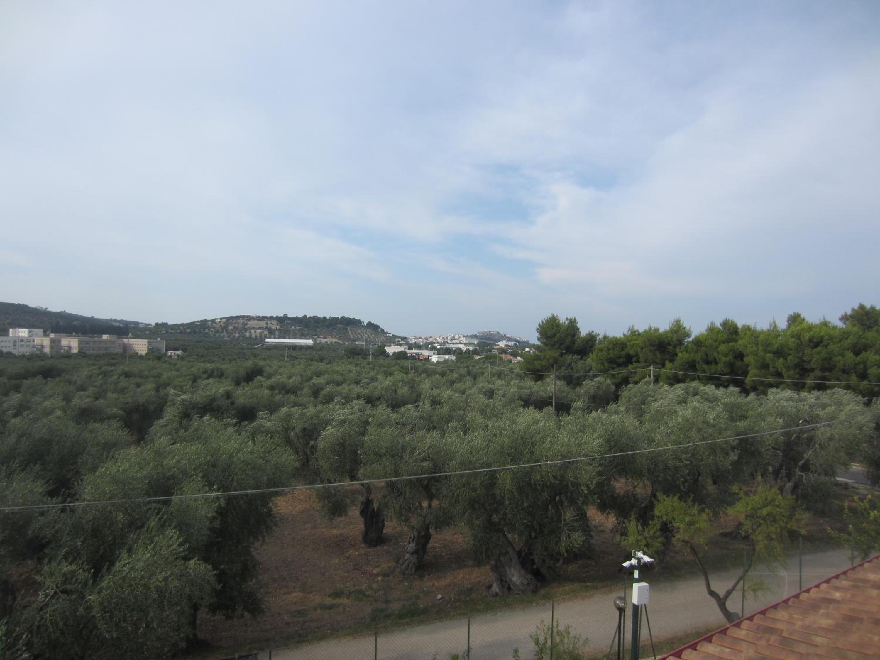 Photo 35