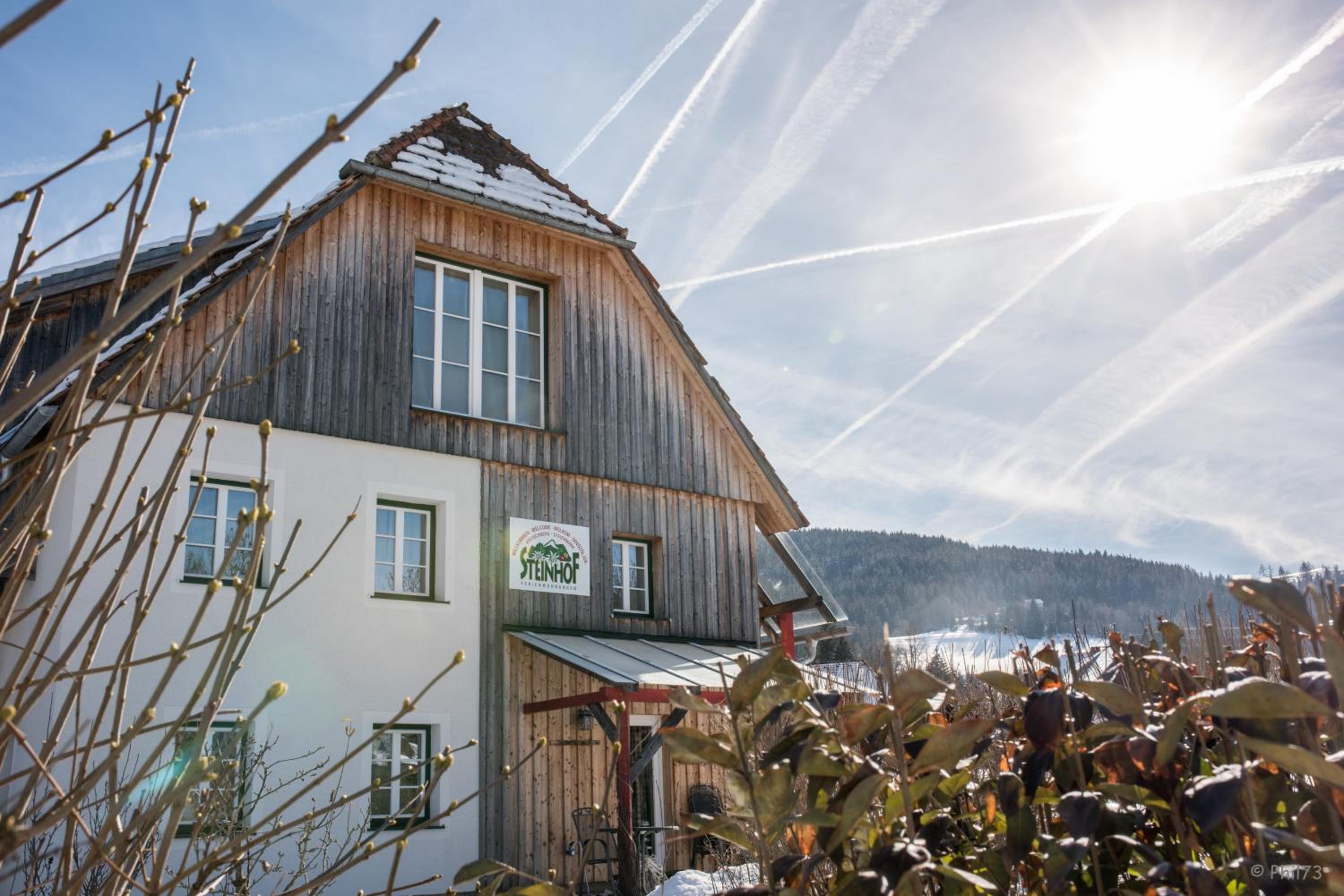 Haus Steinhof