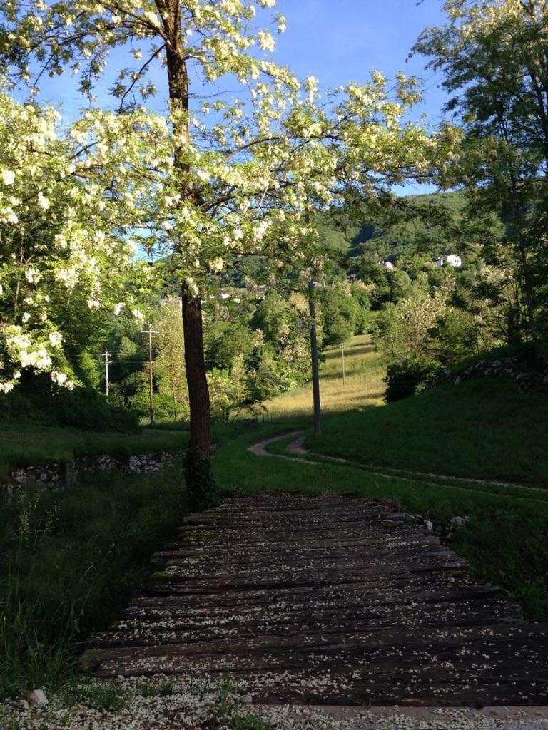 Photo 22