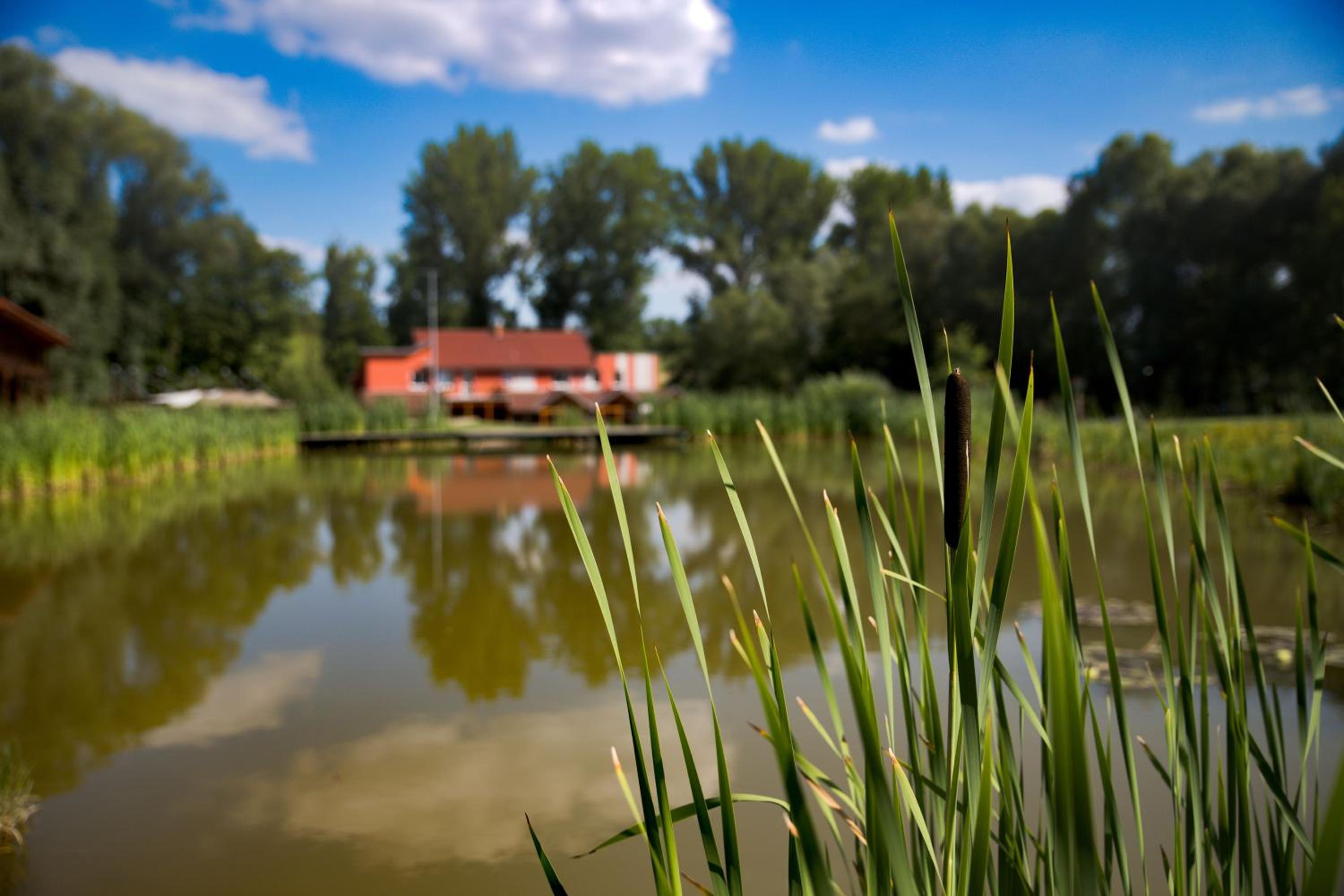 Penzion Amfík Bukovina