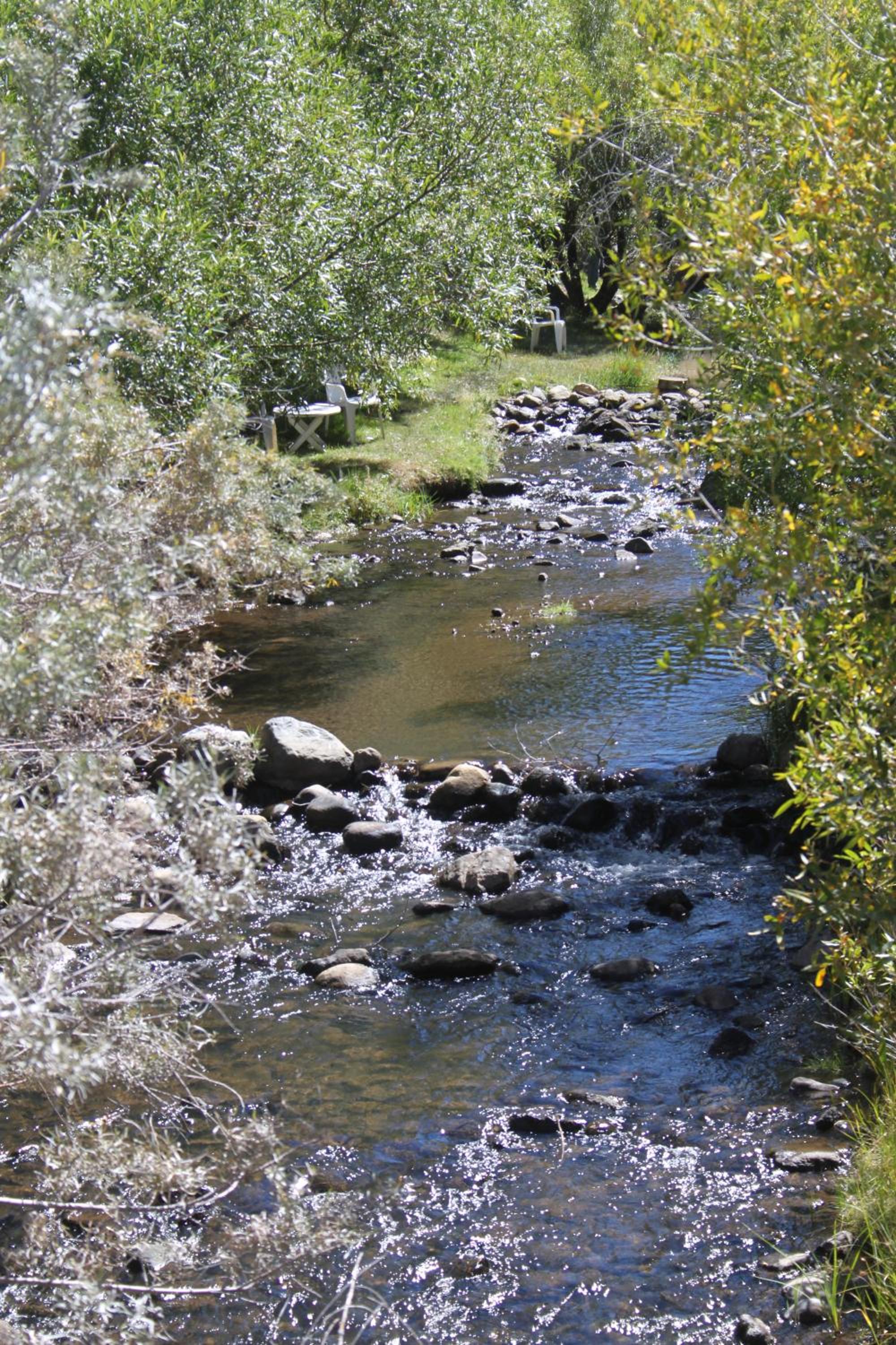 Virginia Creek Settlement