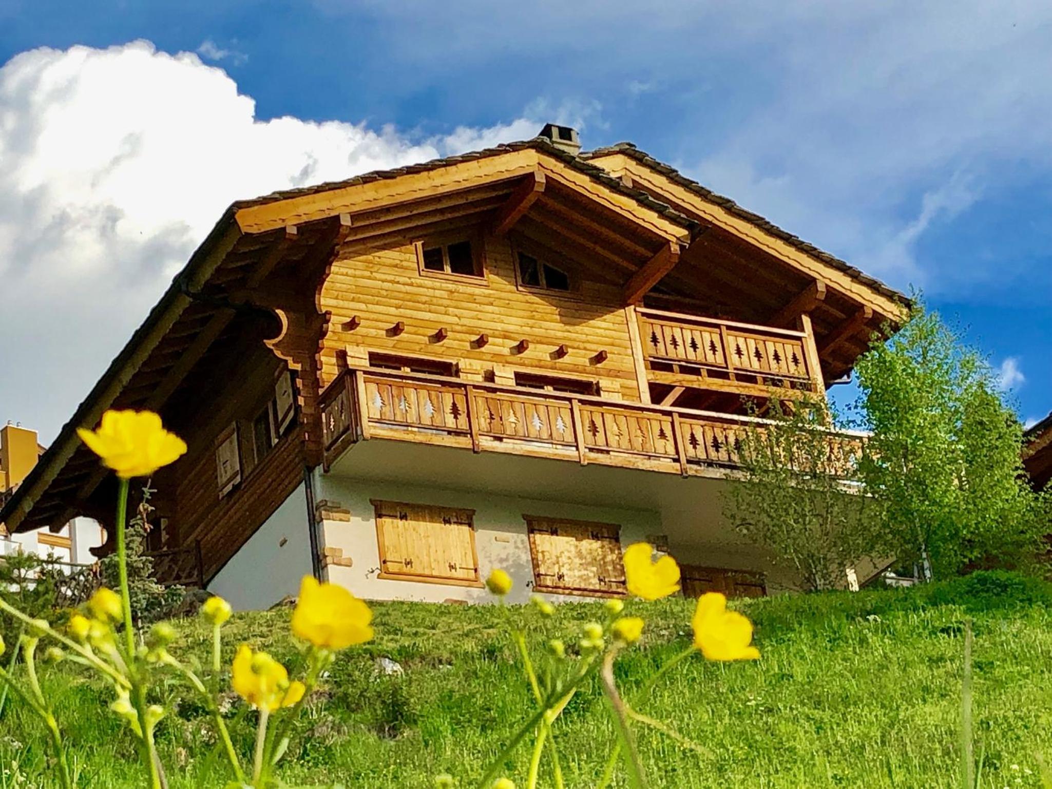 Chalet Marie-Rose view 5