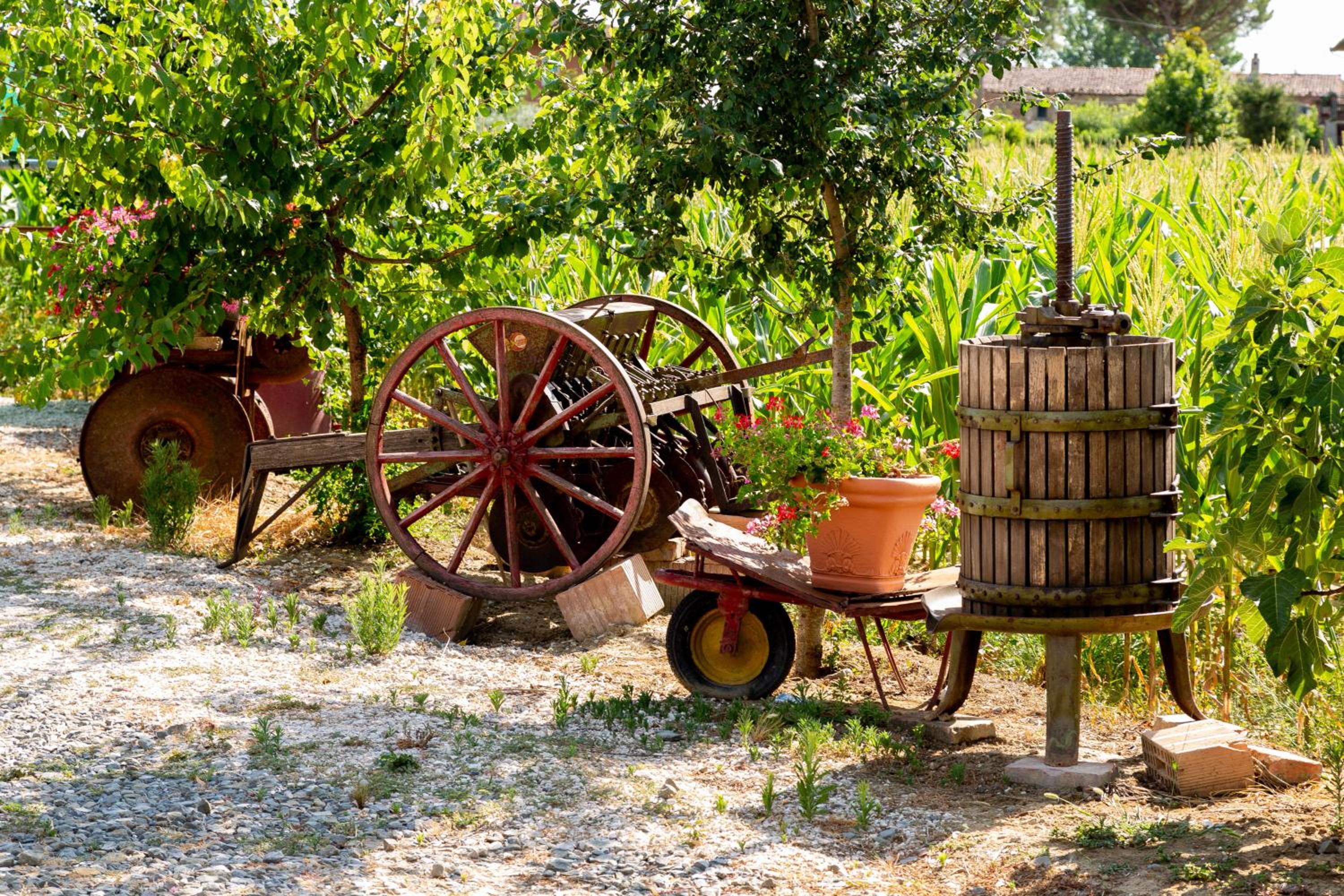 Fattoria del Nonno Berto
