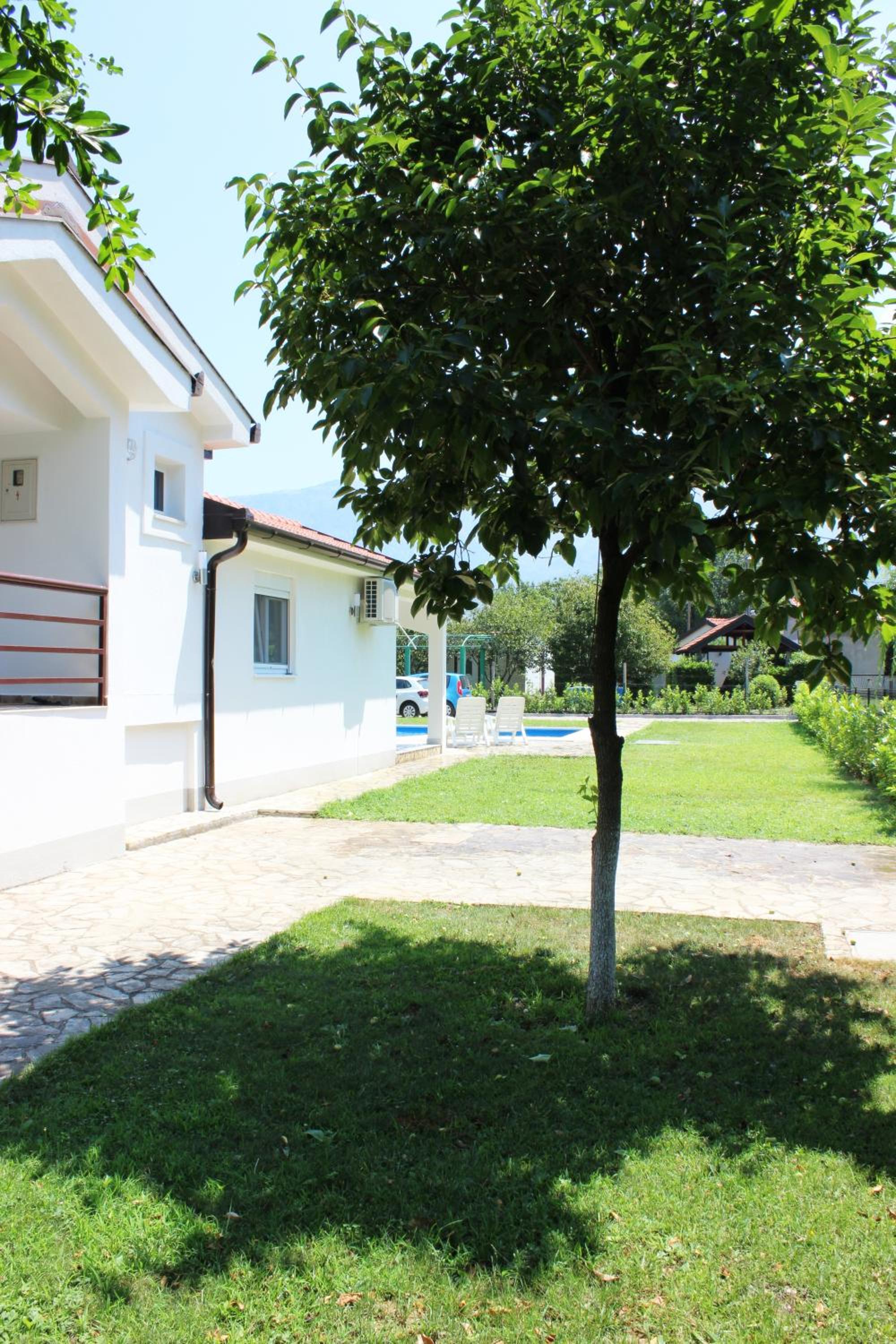 Photo 24
