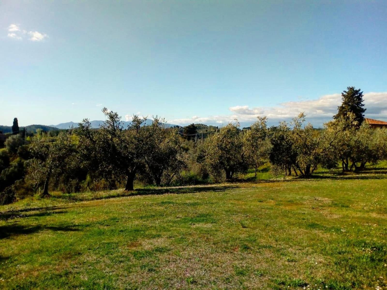 Fattoria di Colleoli