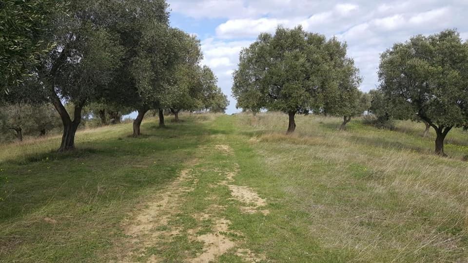Photo 34