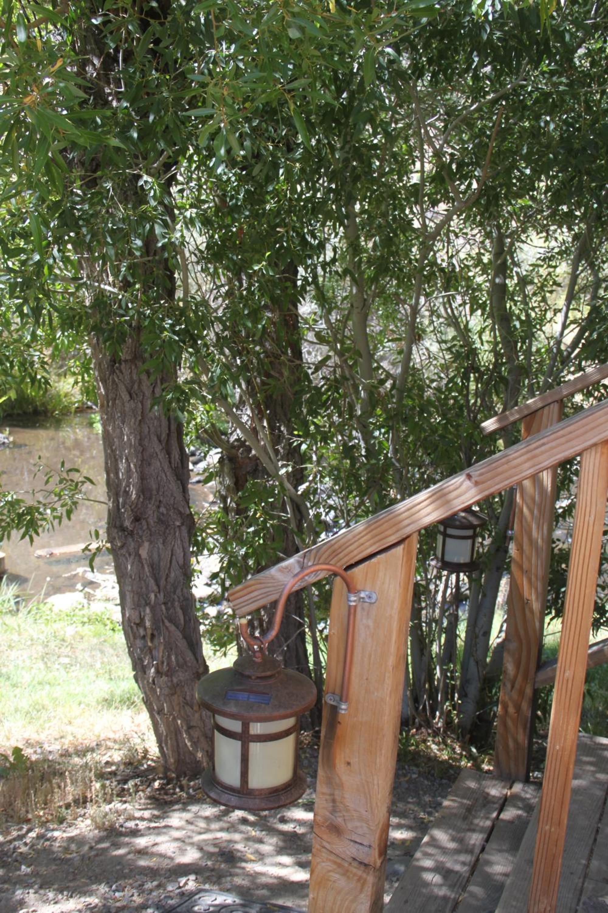 Virginia Creek Settlement