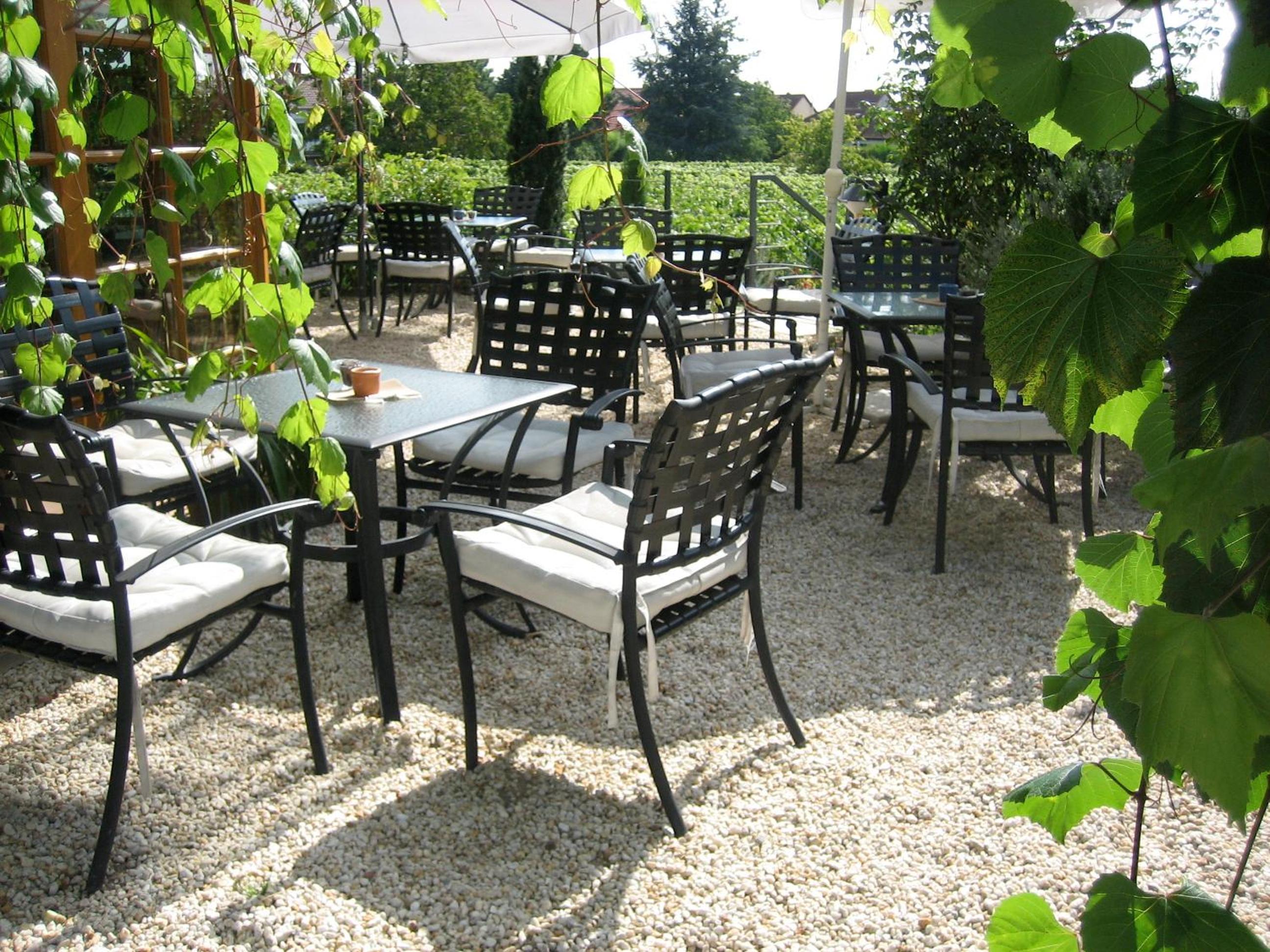 Landhotel Kallstadt, photo 13