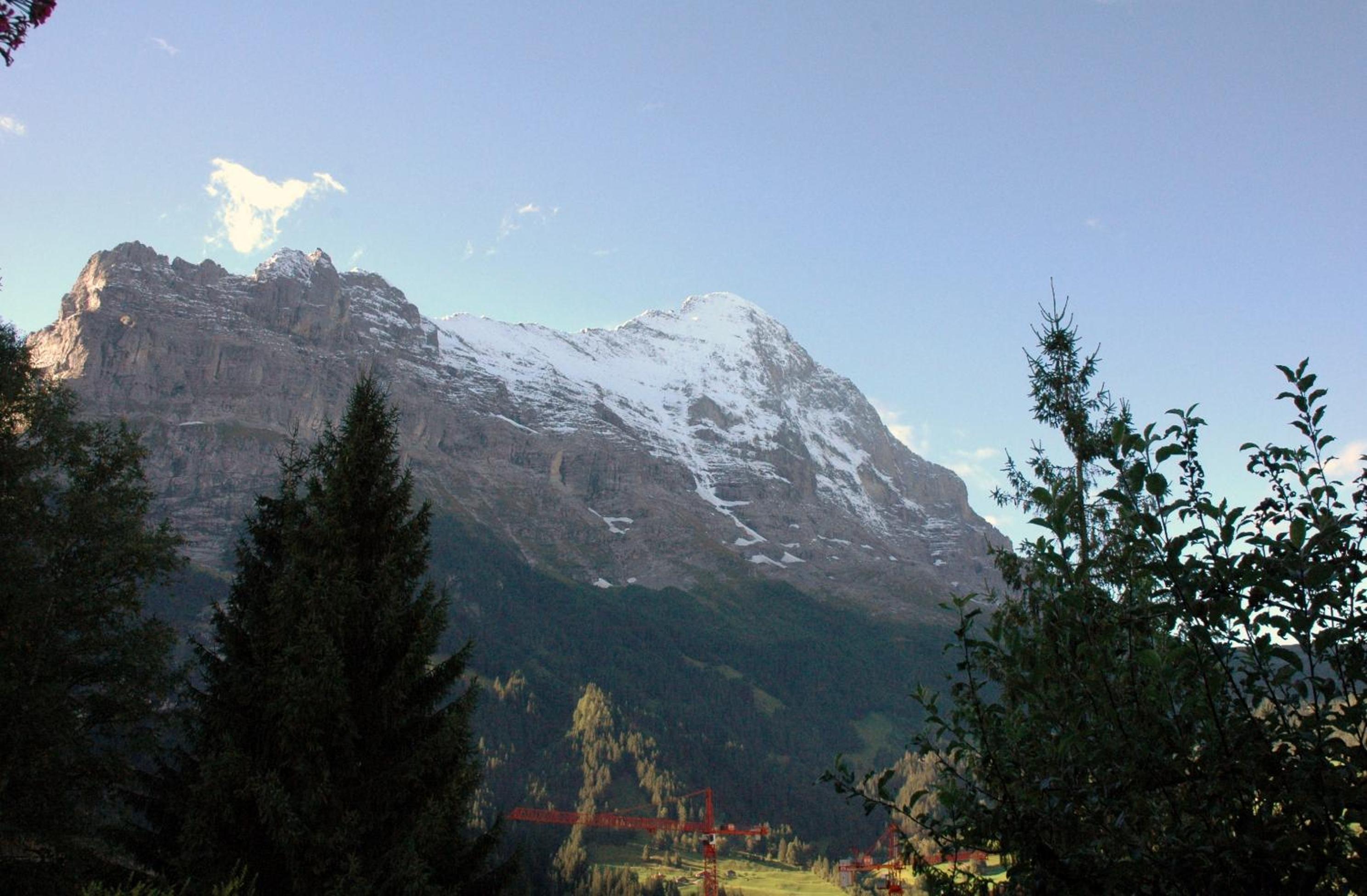 Photo 41