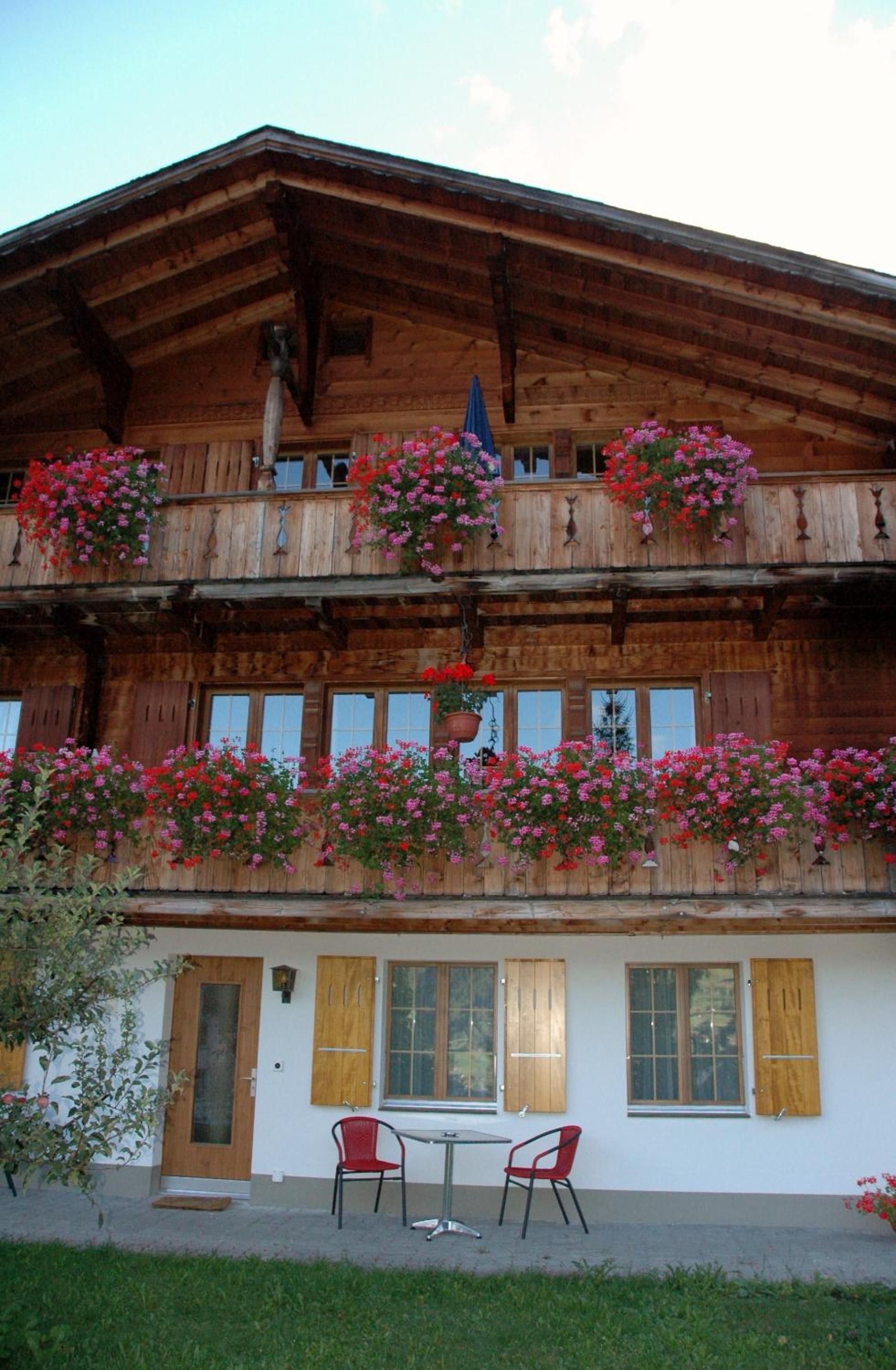 Photo 44
