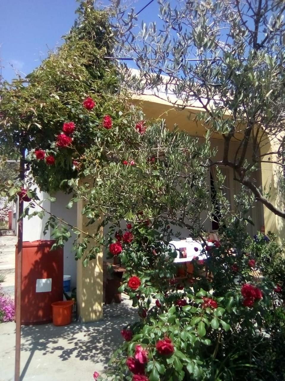 Holiday Home Zeljana view 2