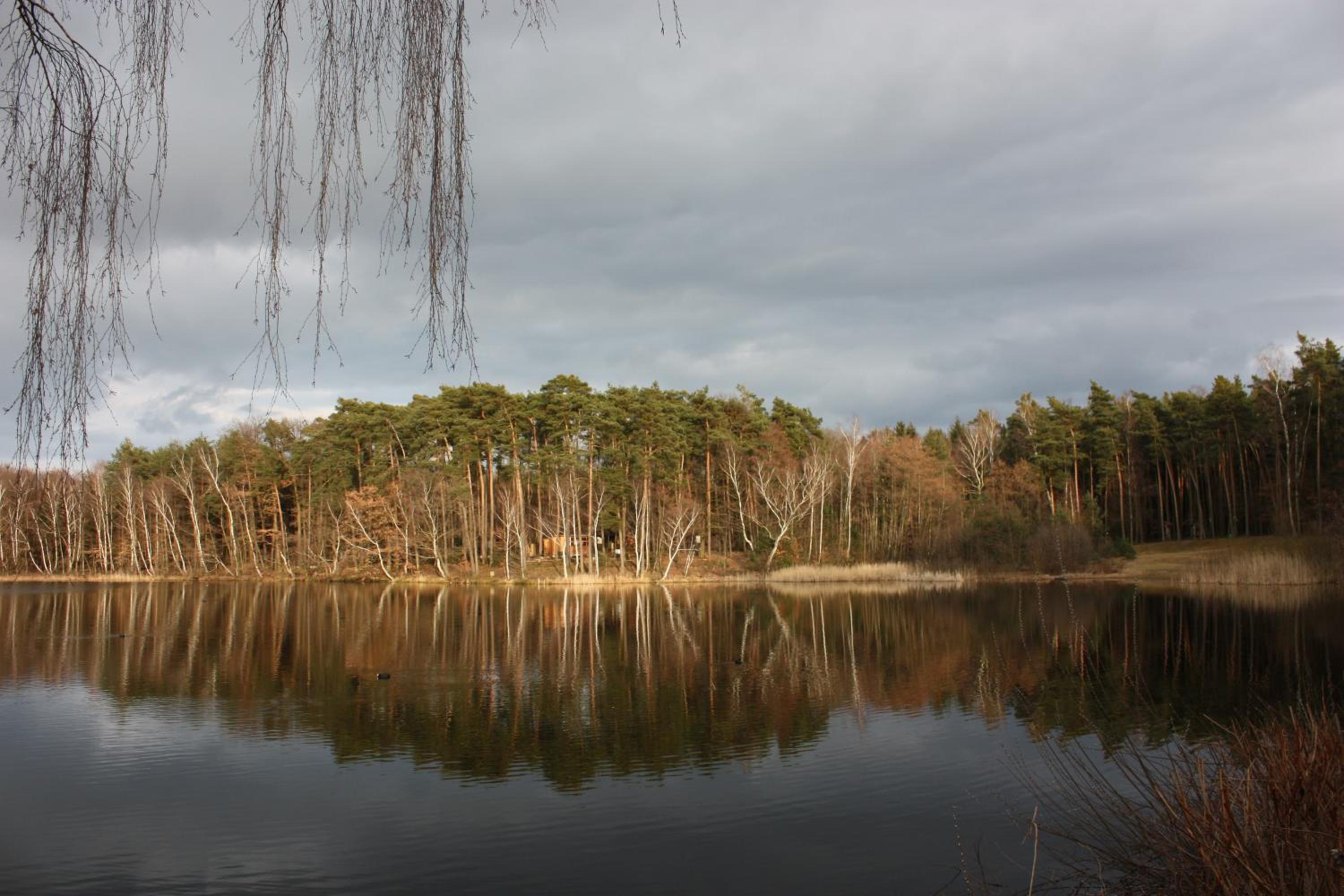 Photo 28