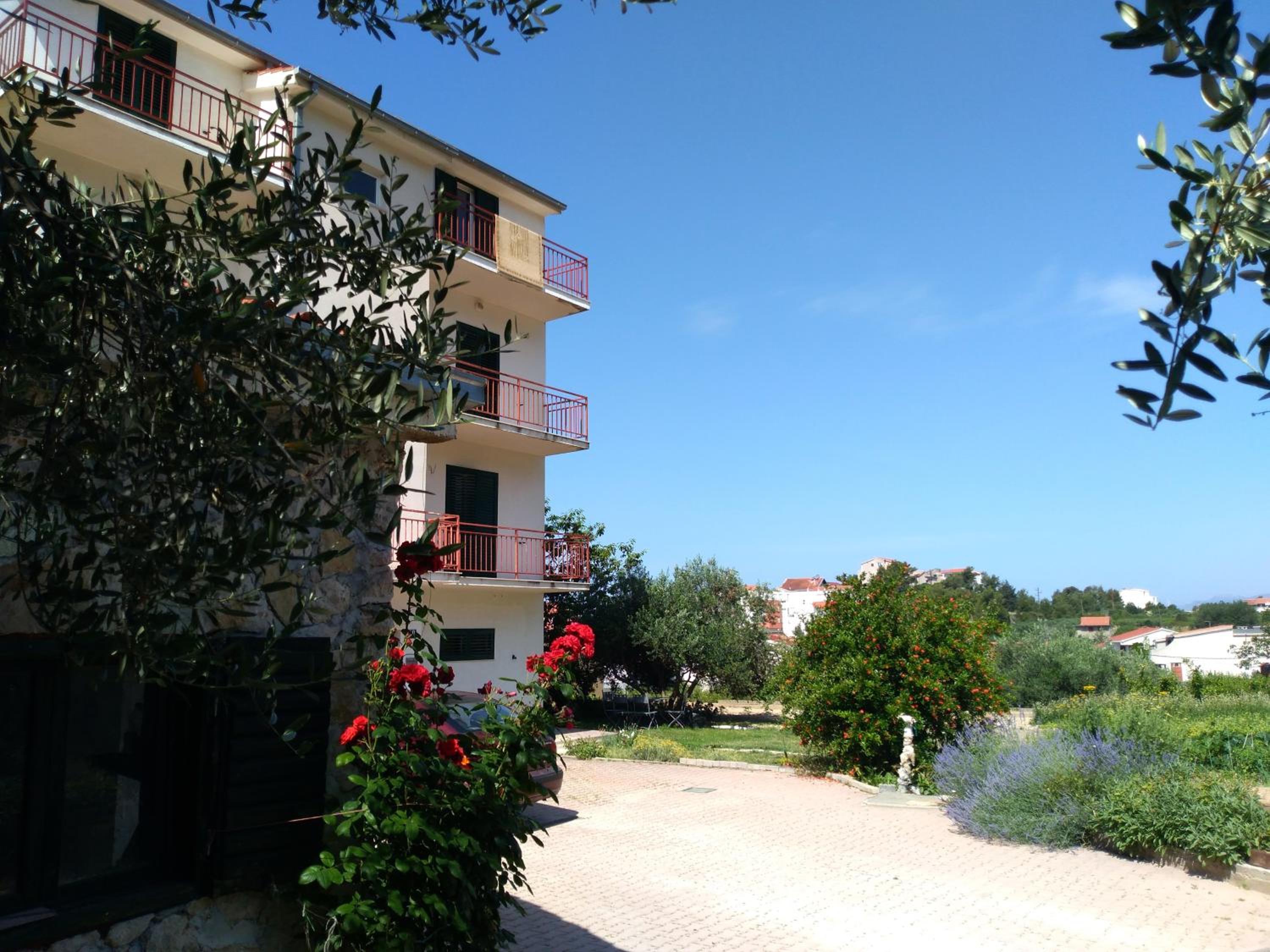 Photo 10