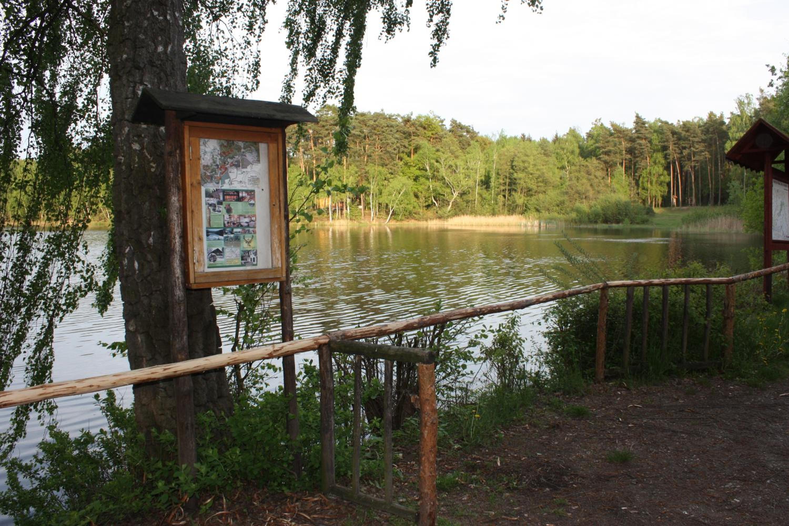 Photo 30