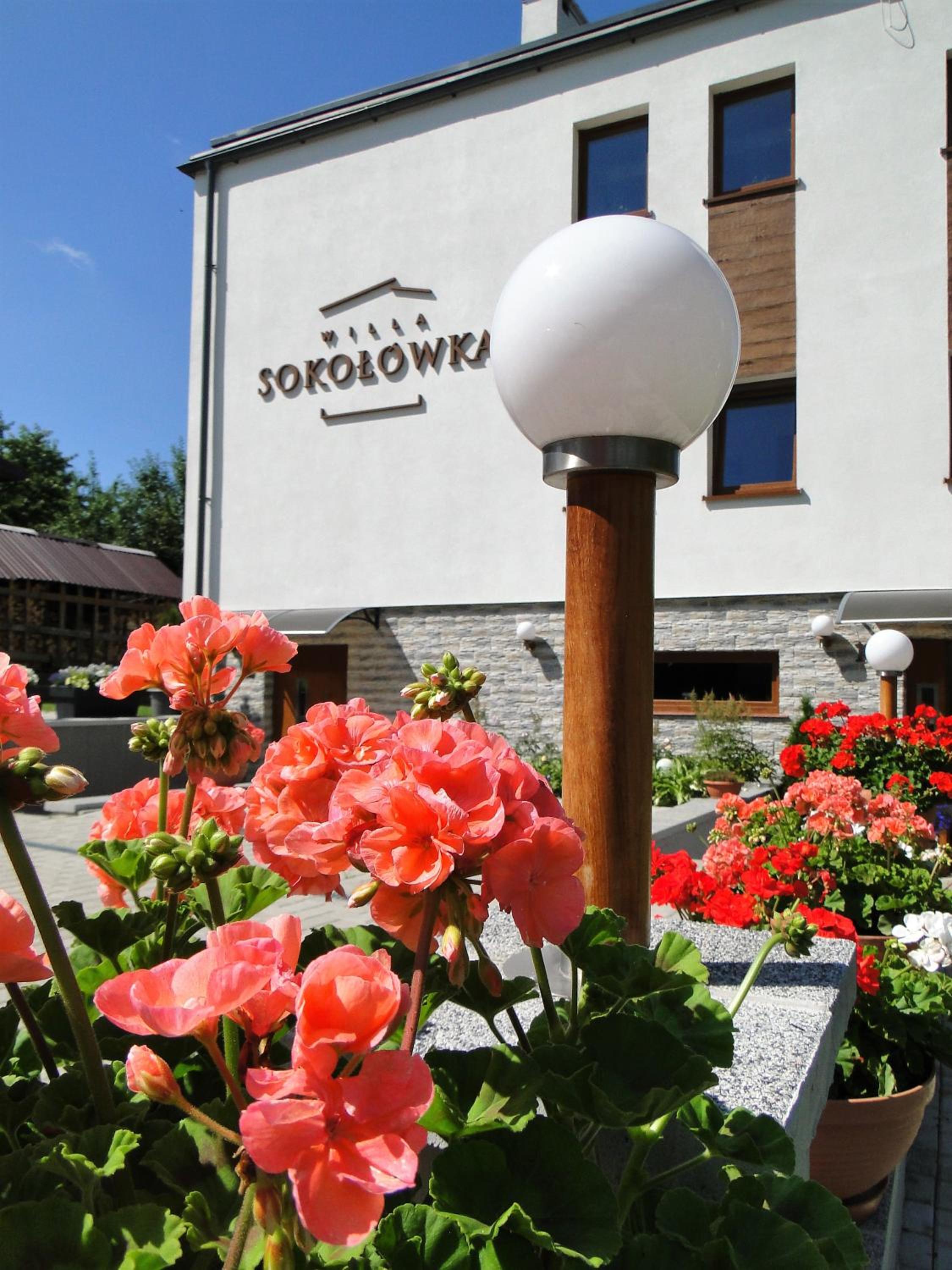 Willa Sokołówka view 4