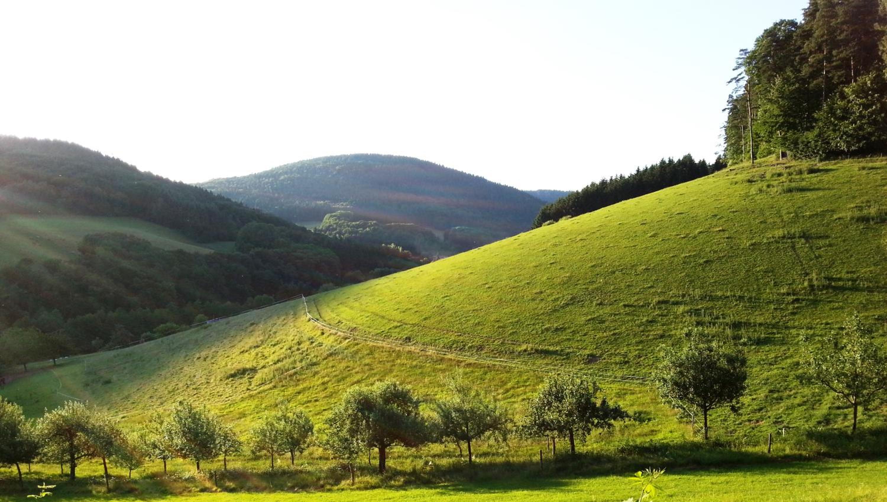 Urlaubs(t)raum