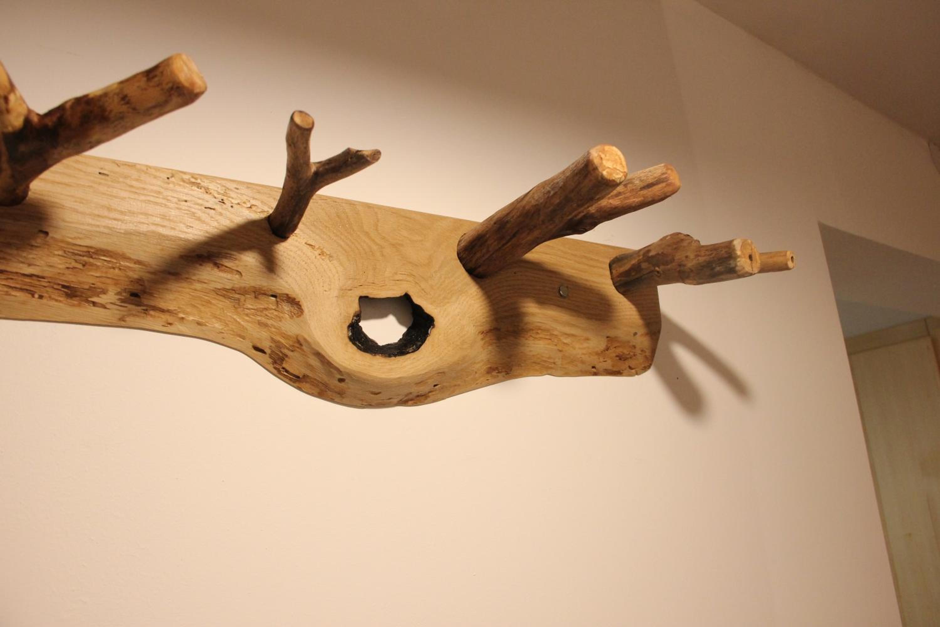 Woodywood house Bohinj view 4