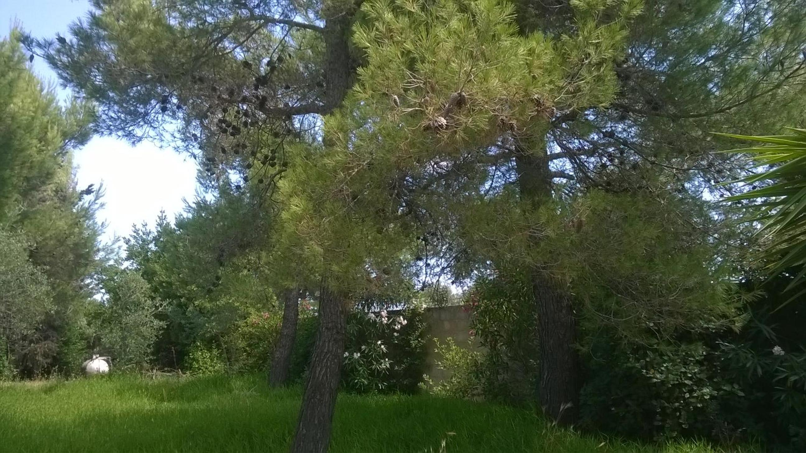 villetta tranquilla