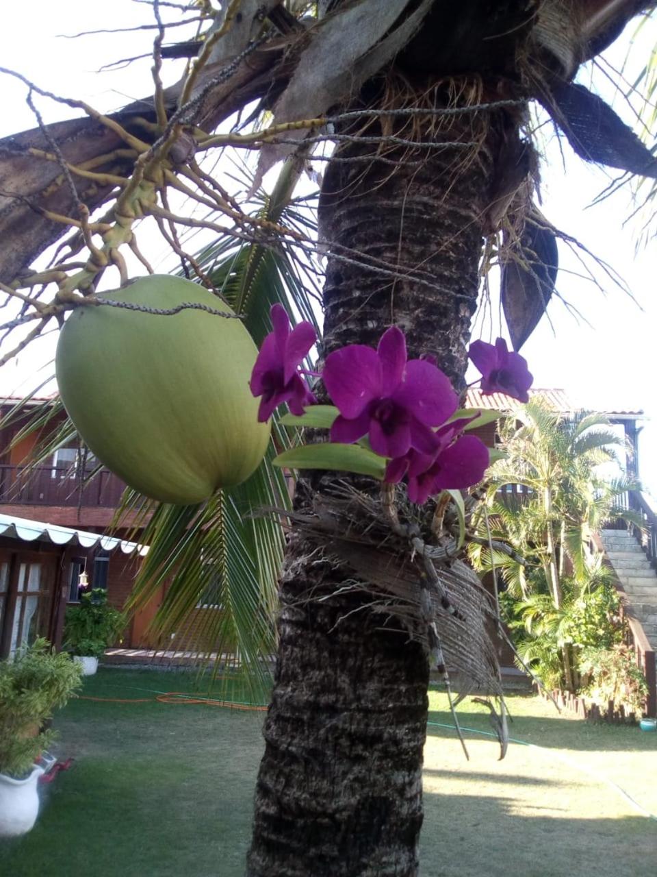 Pousada Céu de Tucuns