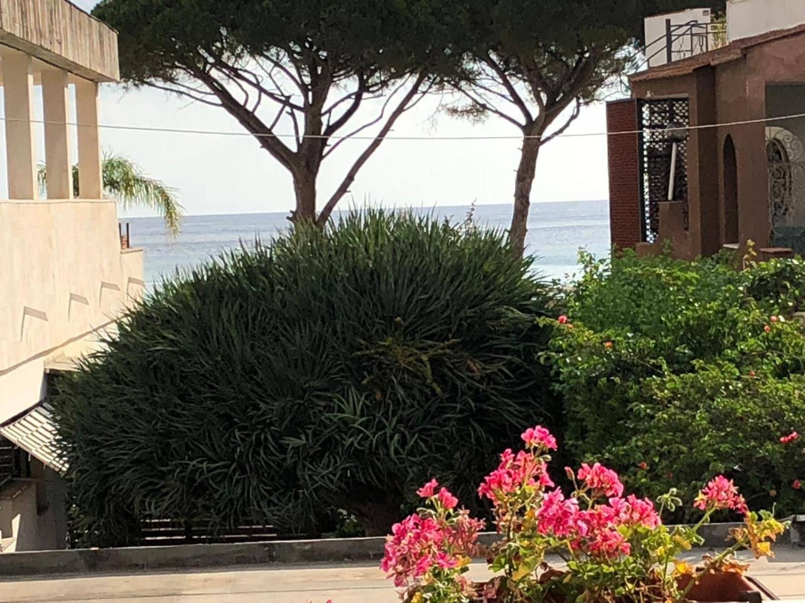 Near the beach view 2