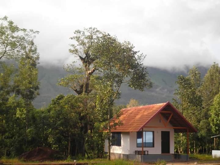 Clover Leaf Homestay