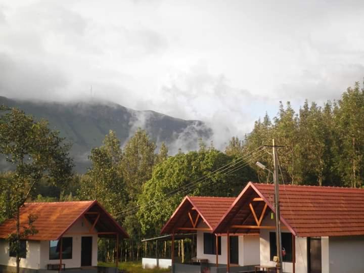 Clover Leaf Homestay