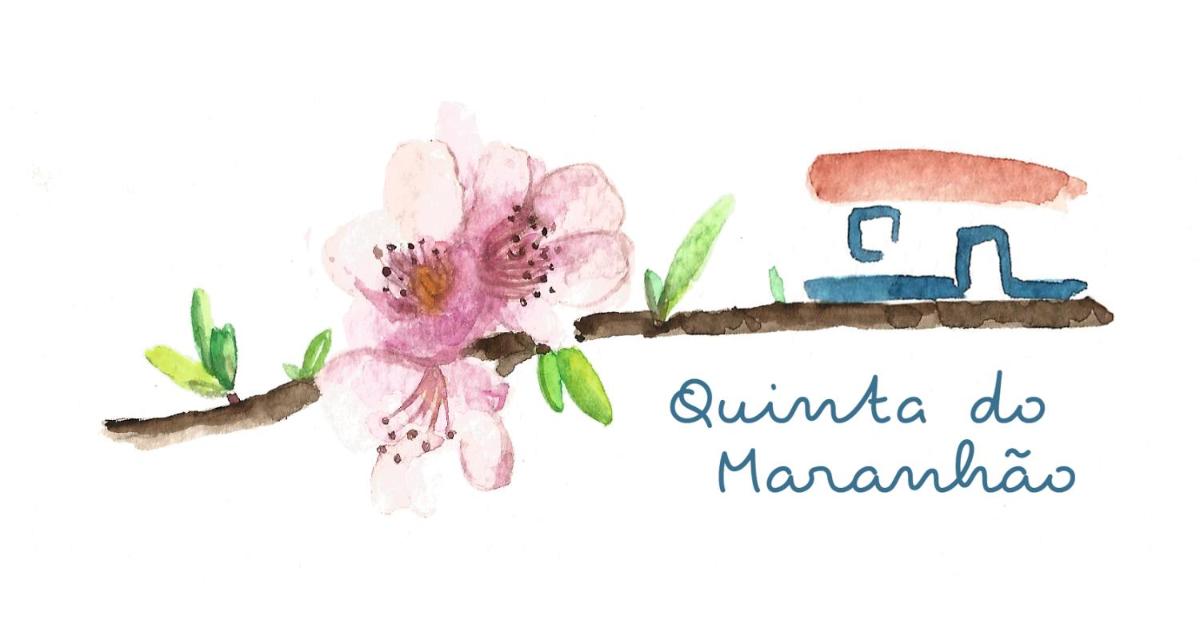 Quinta do Maranhão view 5