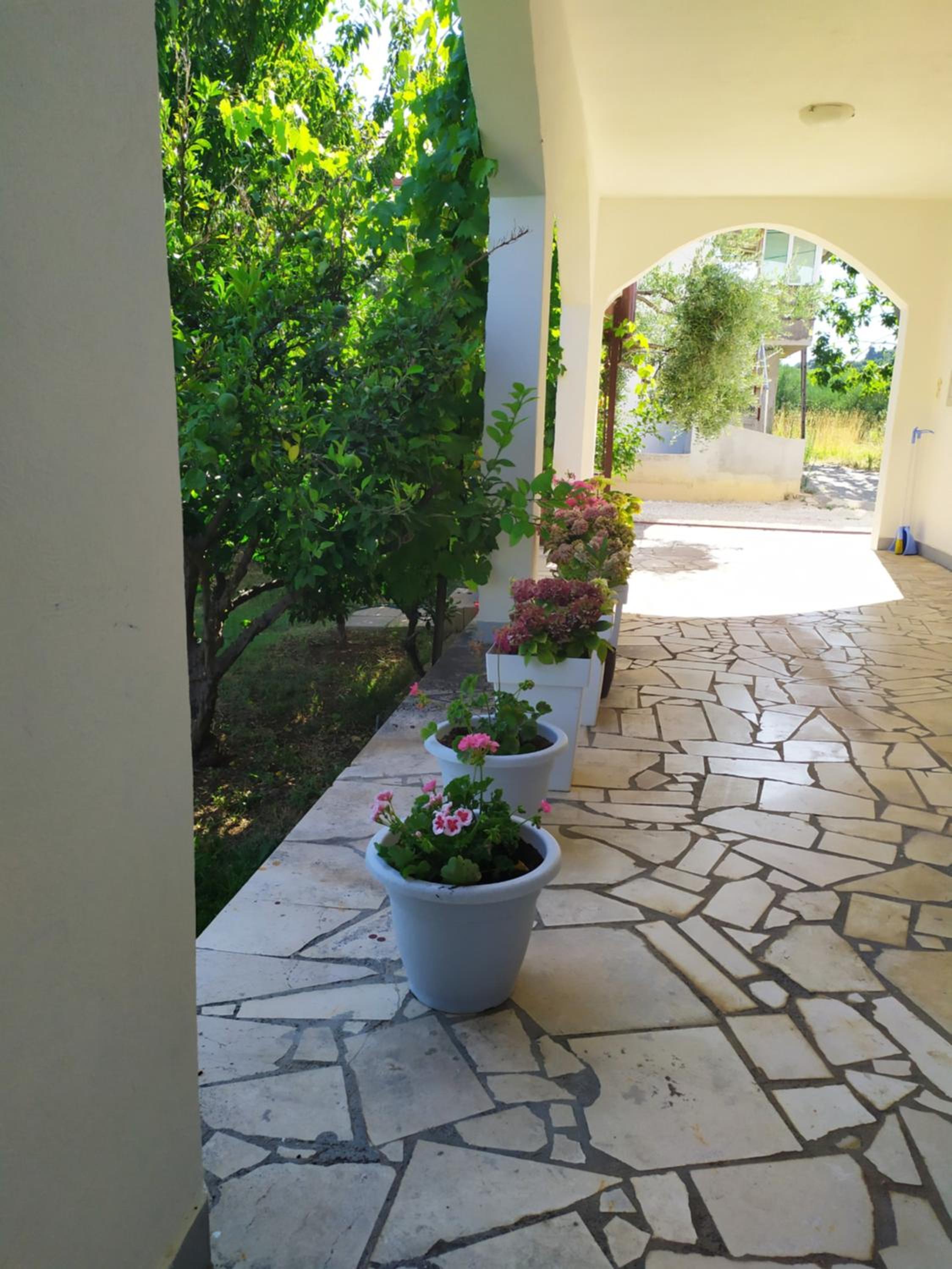 Photo 56