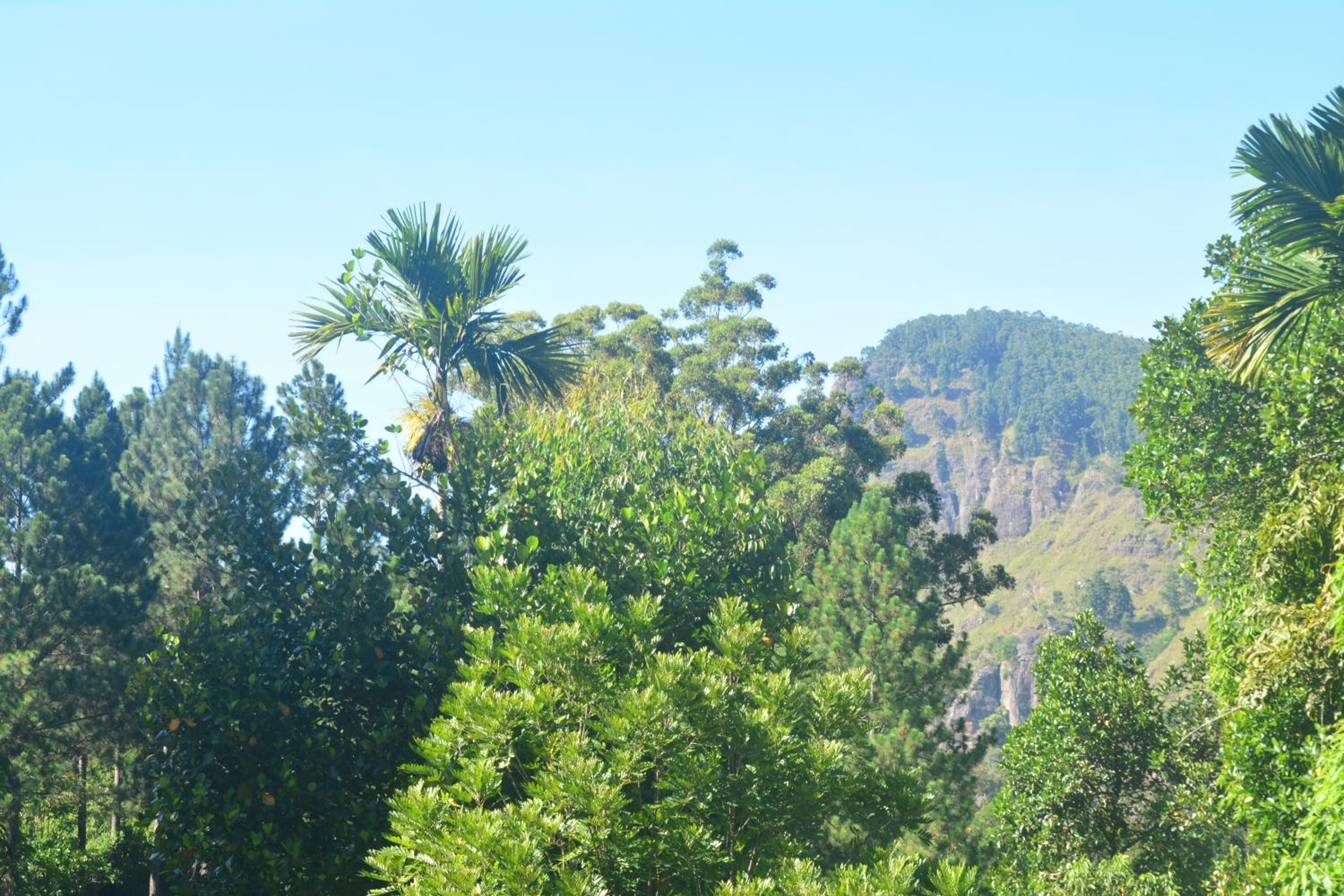 other