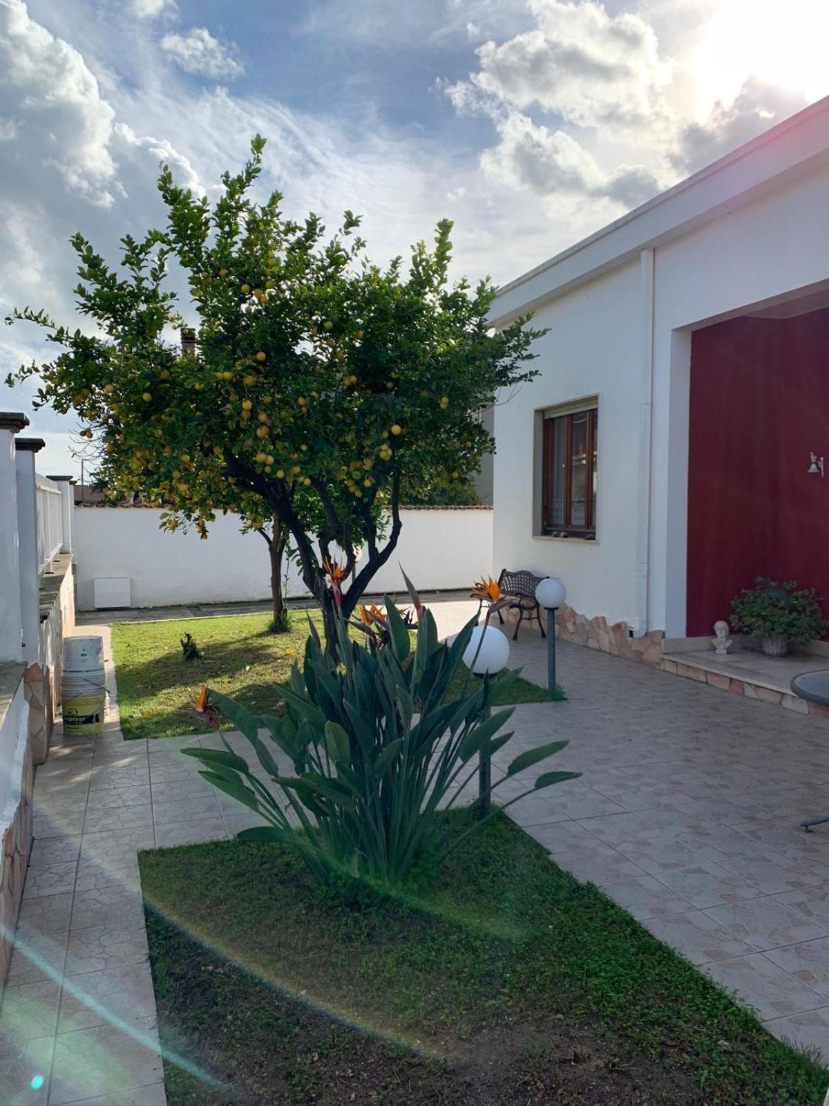 Casa Ohana view 4