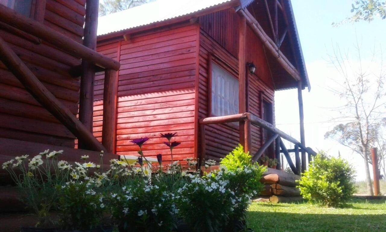 Cabañas Pulmahue