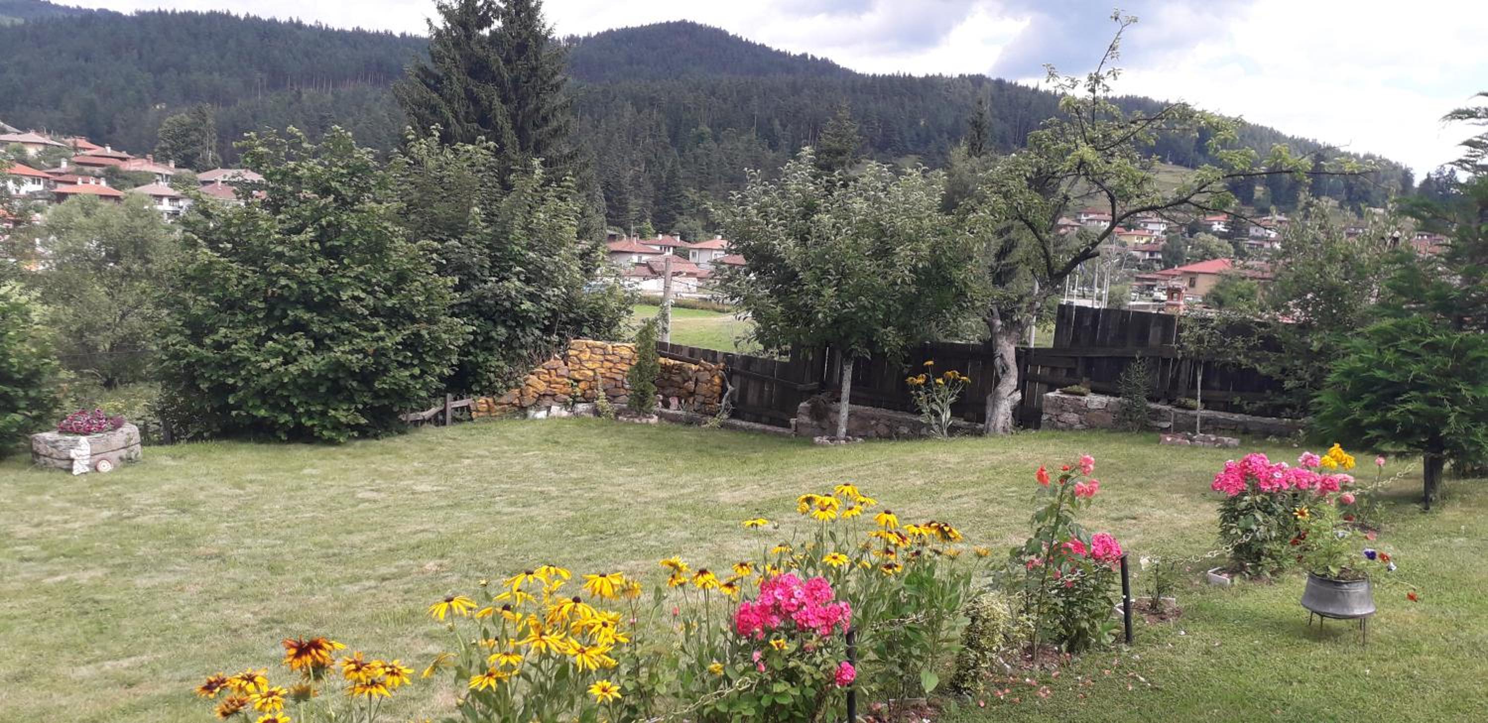 Mechta Guest House