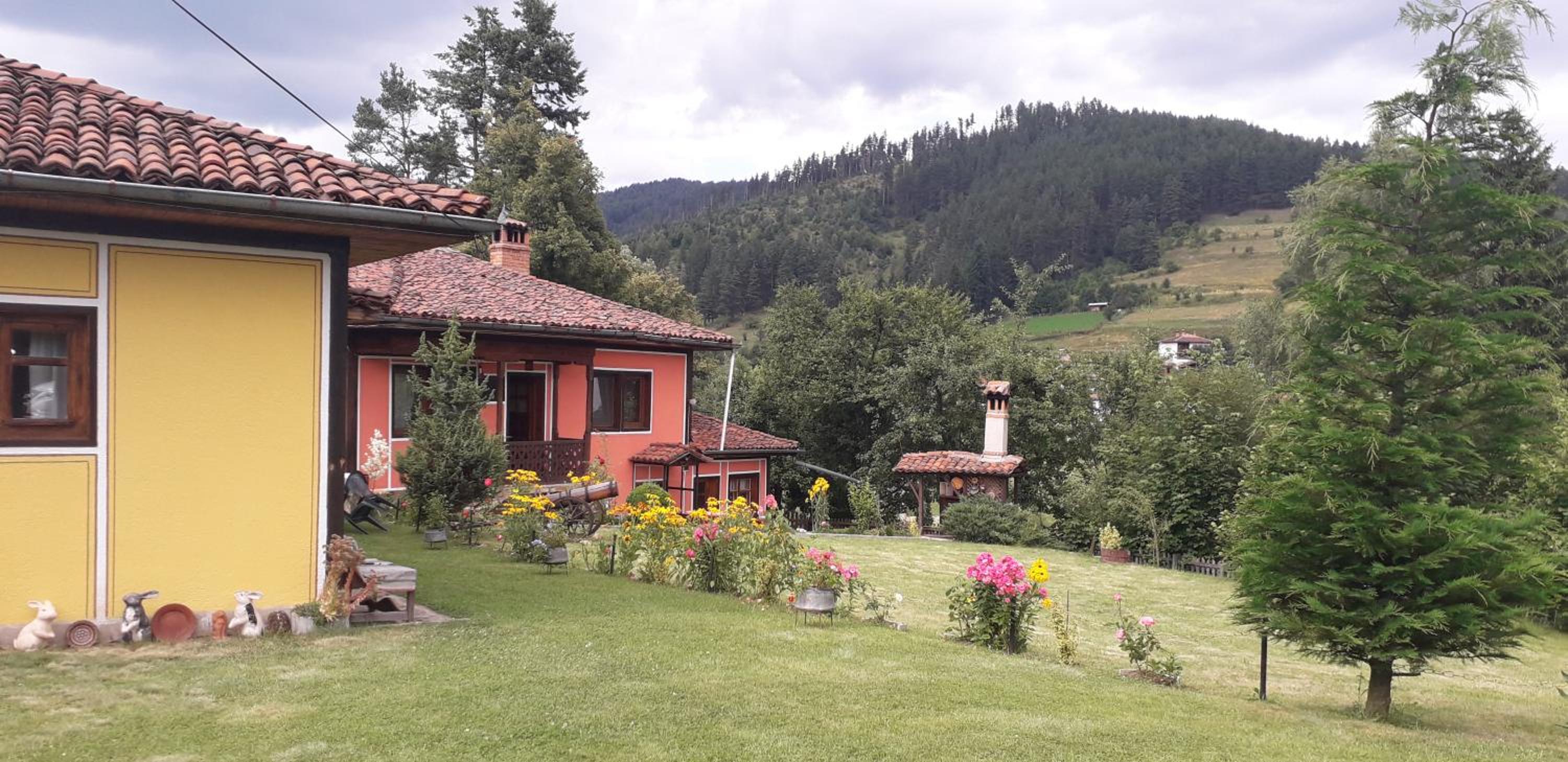 Mechta Guest House