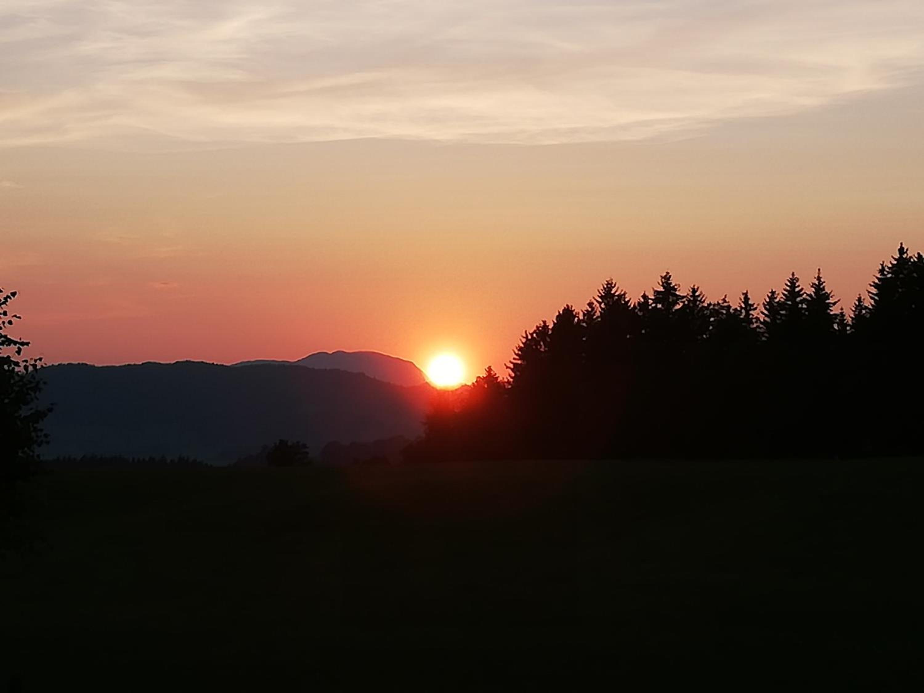 Pension Lärchenbrunn